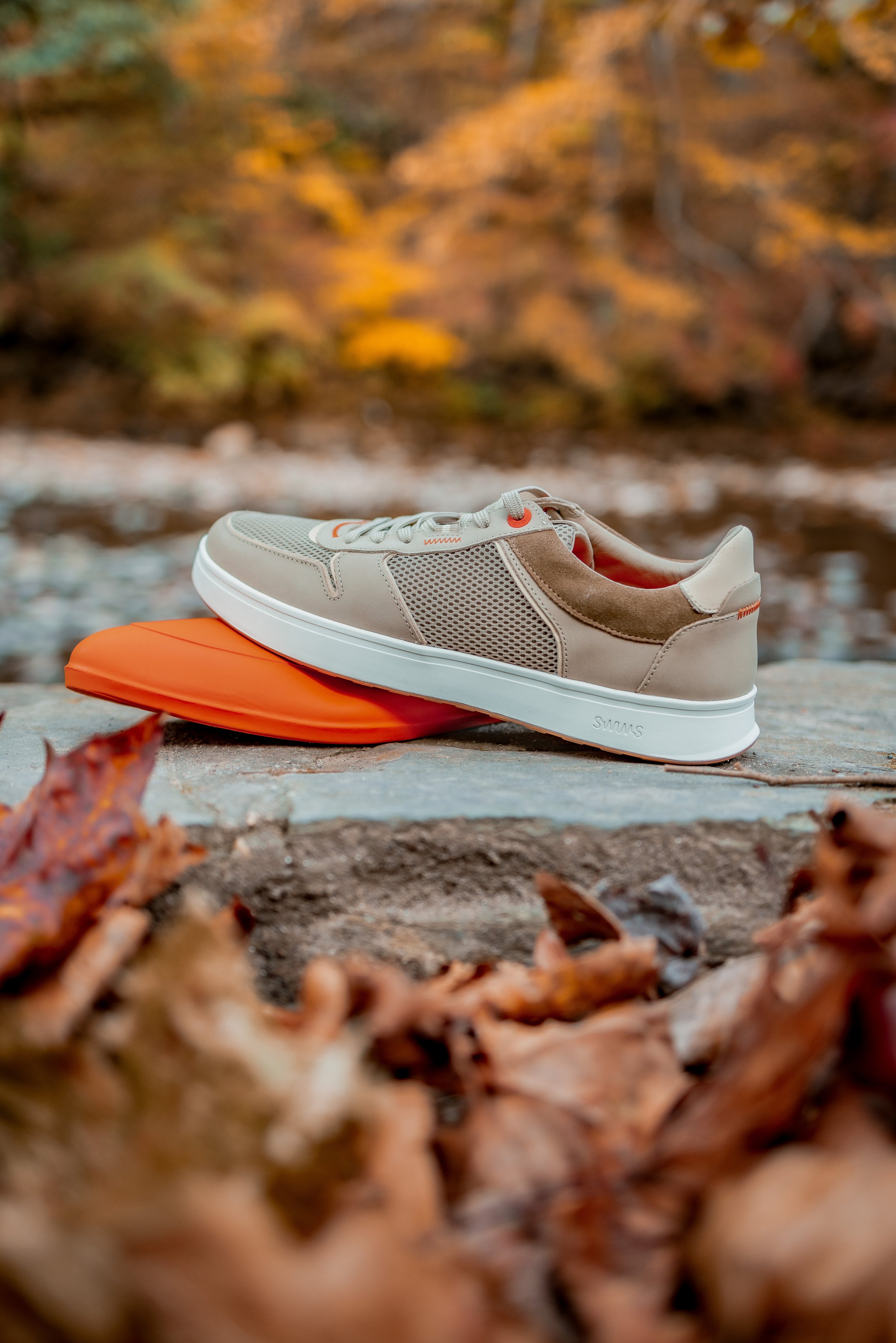 Swims - Photoshoot1-292.jpg