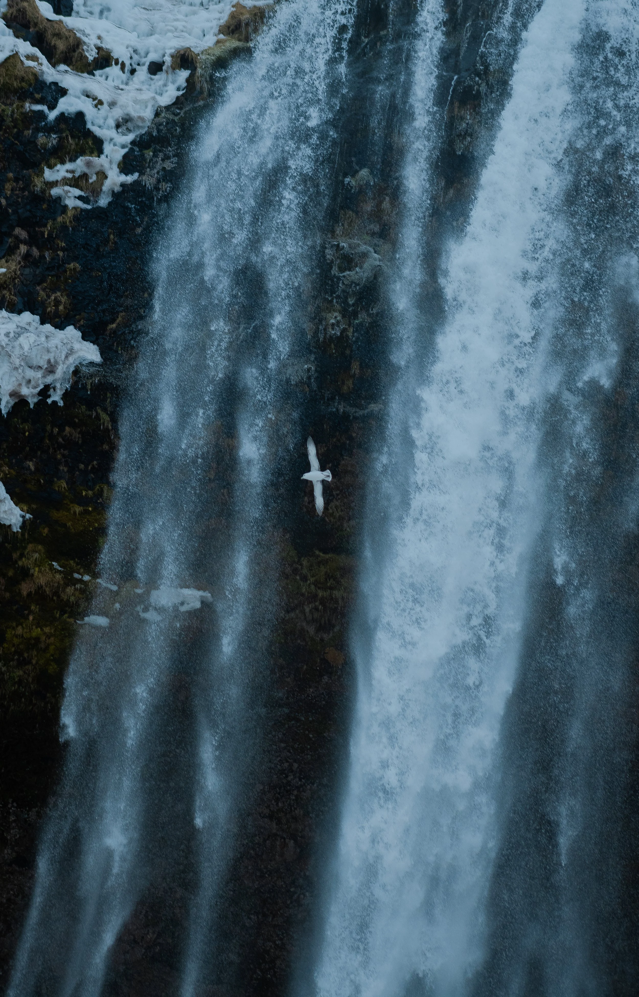 Iceland2024-46.jpg