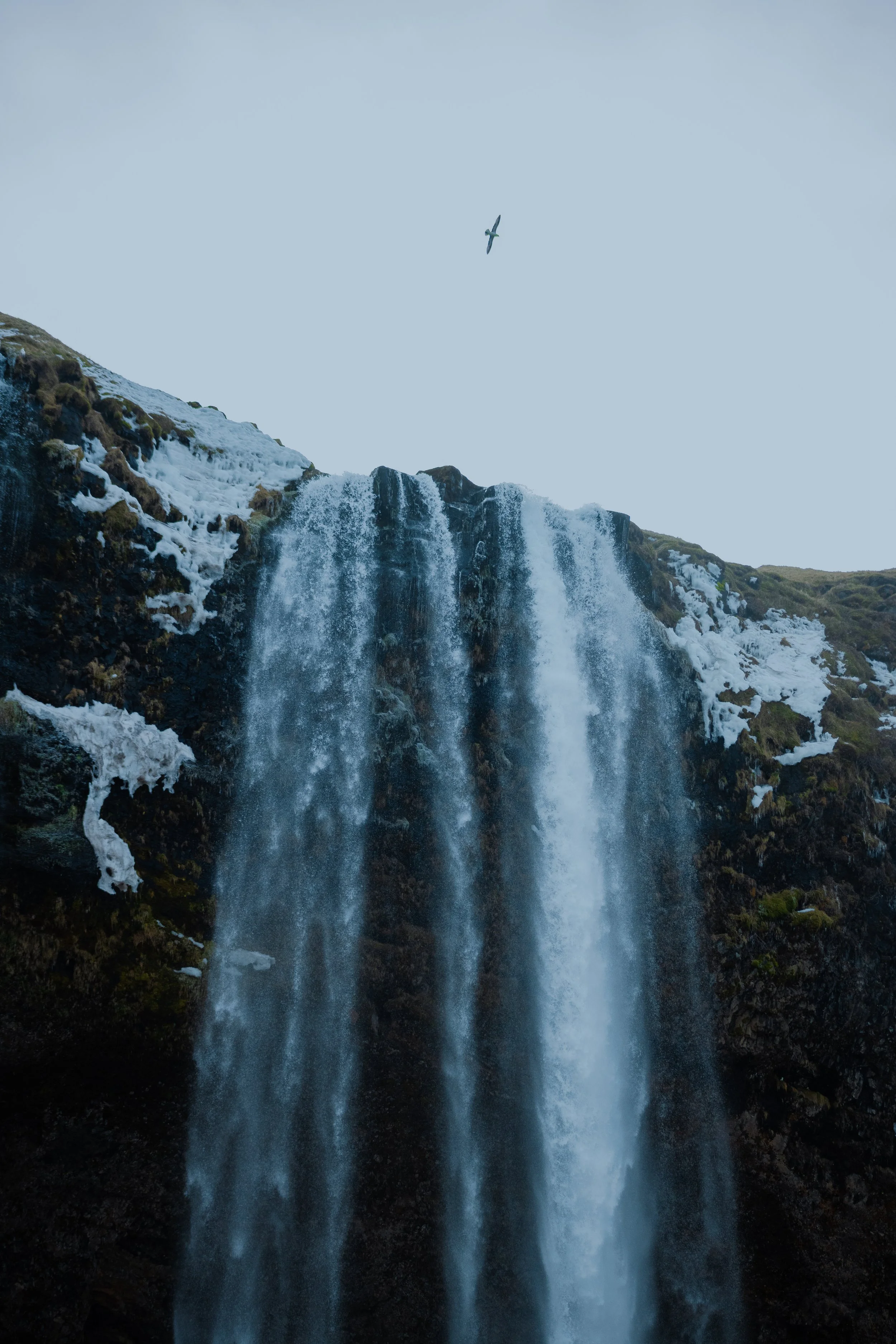 Iceland2024-49.jpg