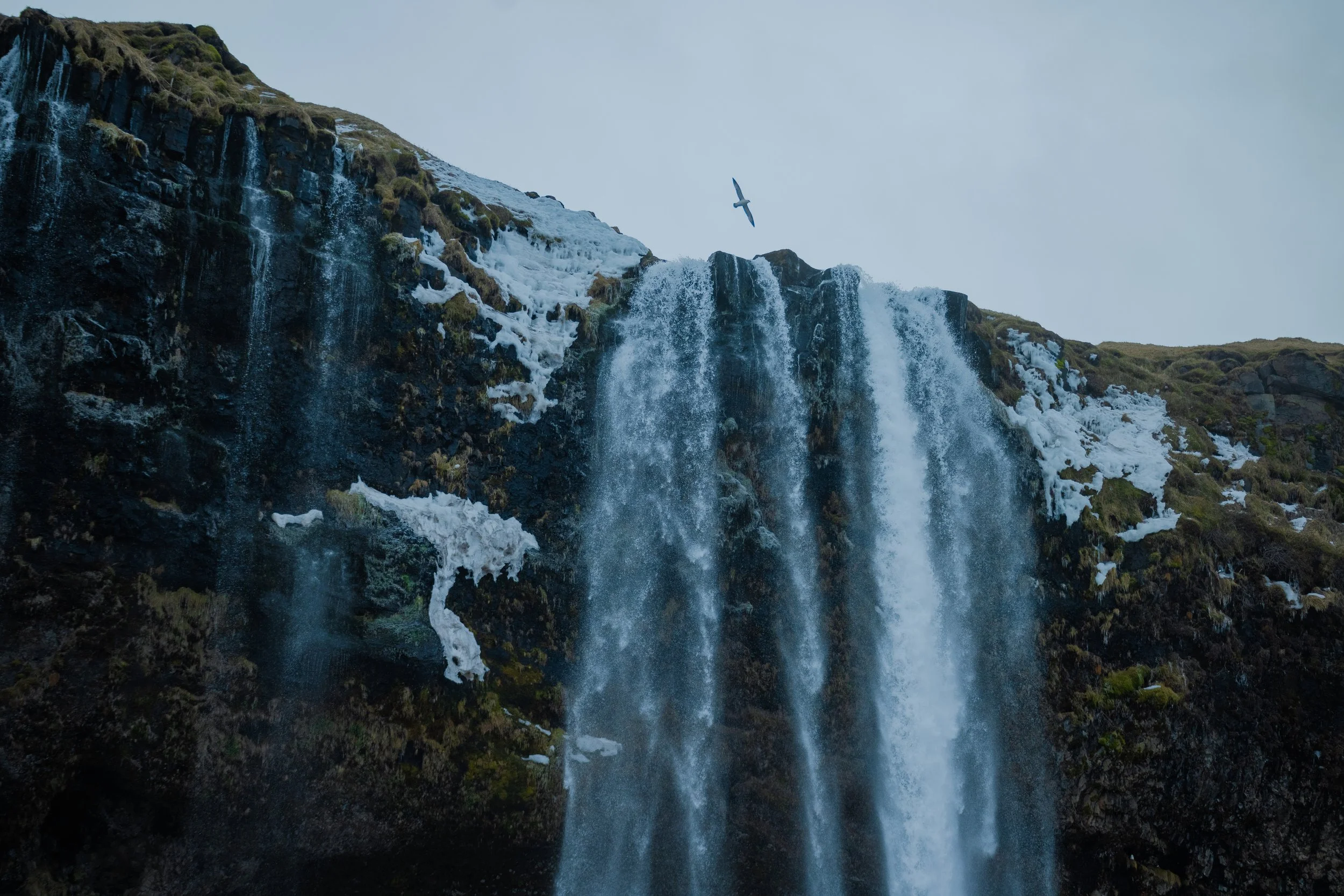 Iceland2024-53.jpg