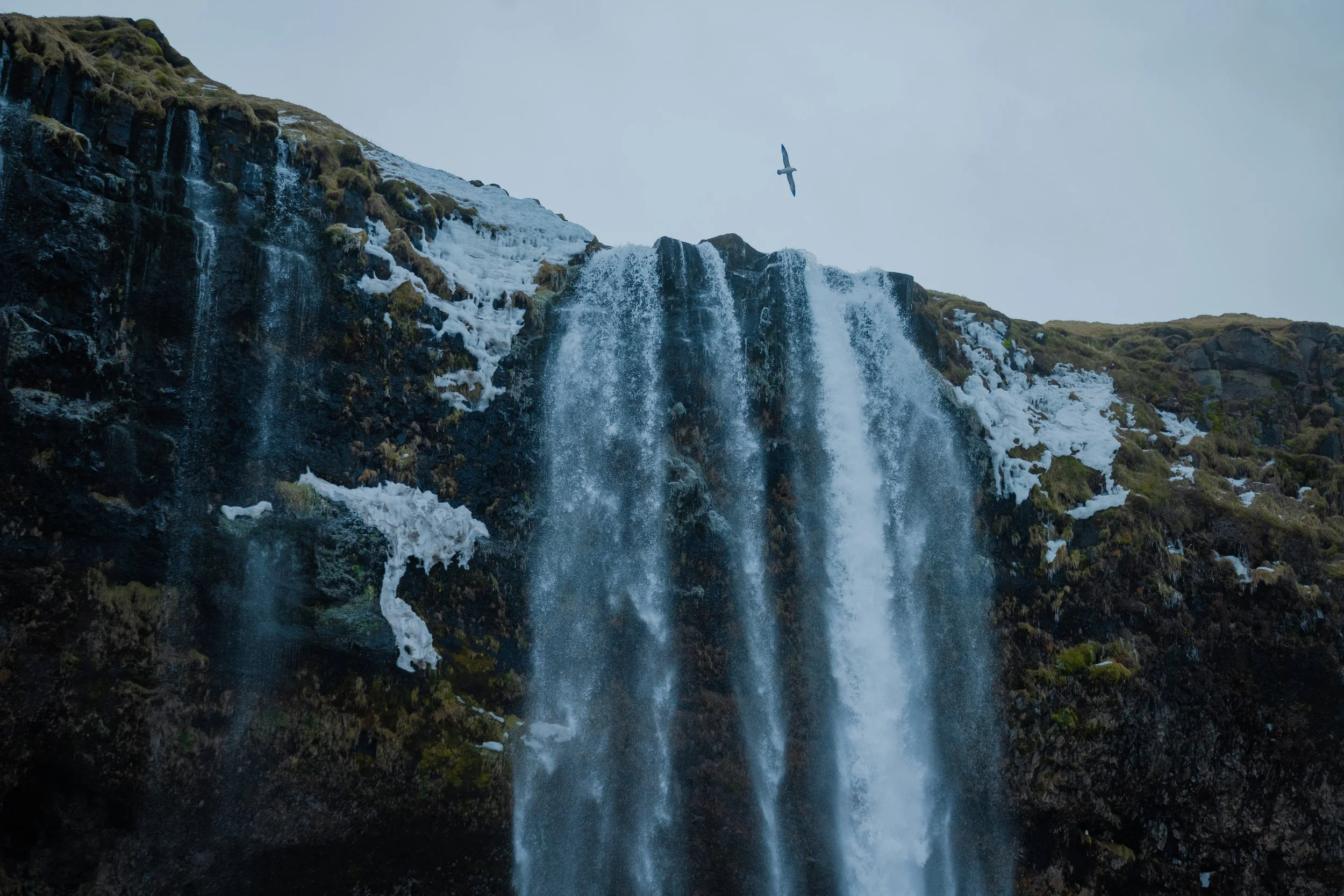 Iceland2024-54.jpg