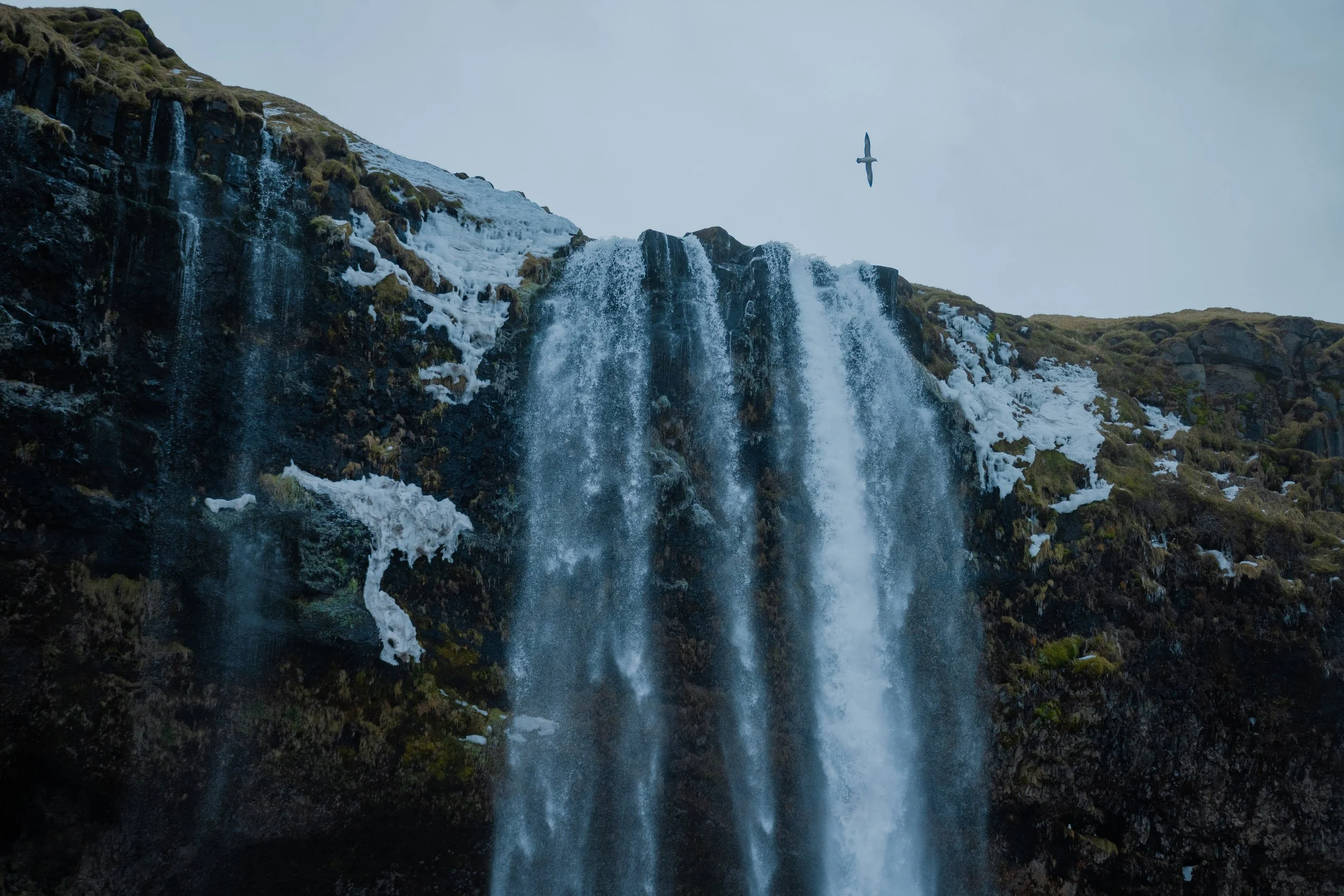Iceland2024-55.jpg