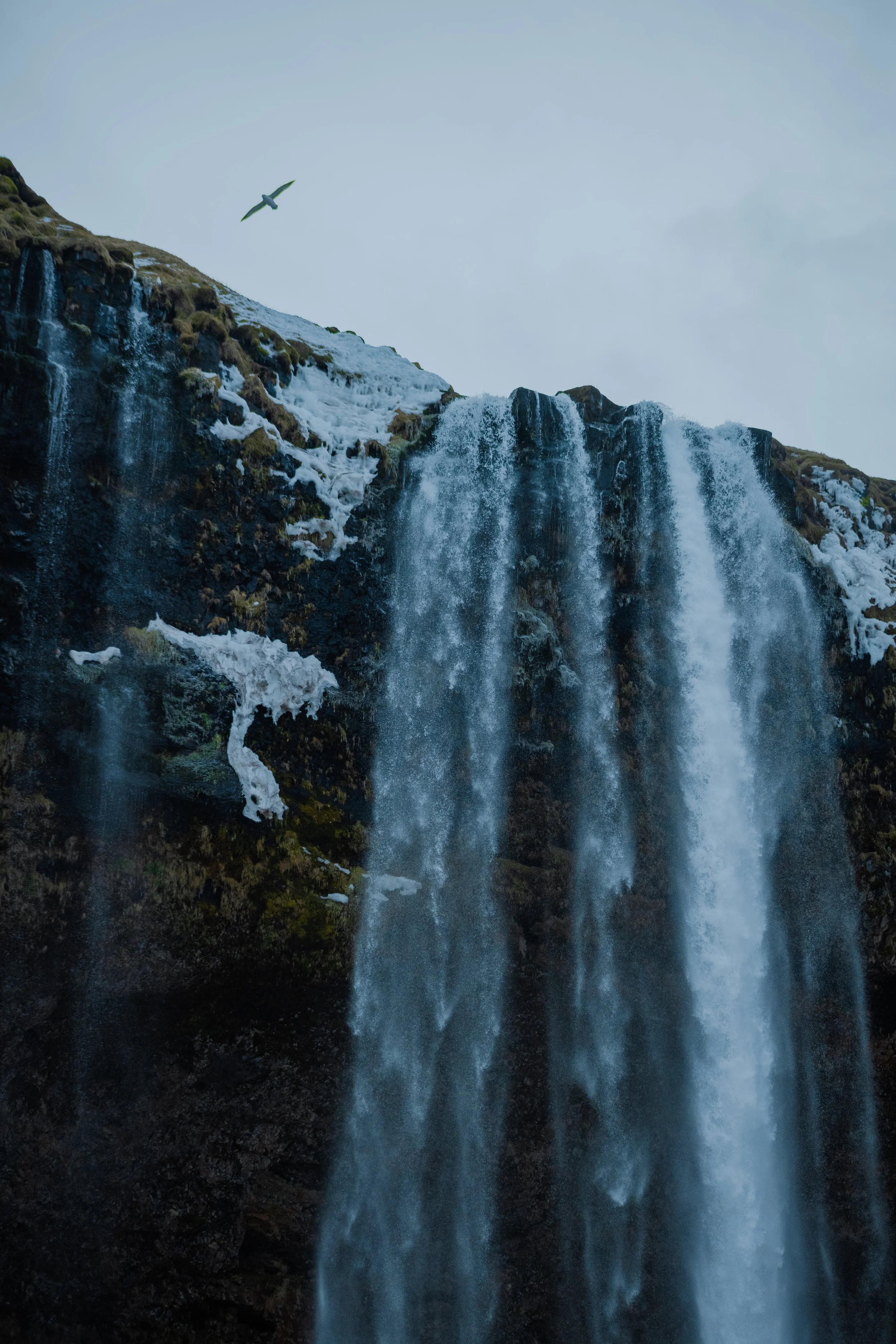 Iceland2024-57.jpg
