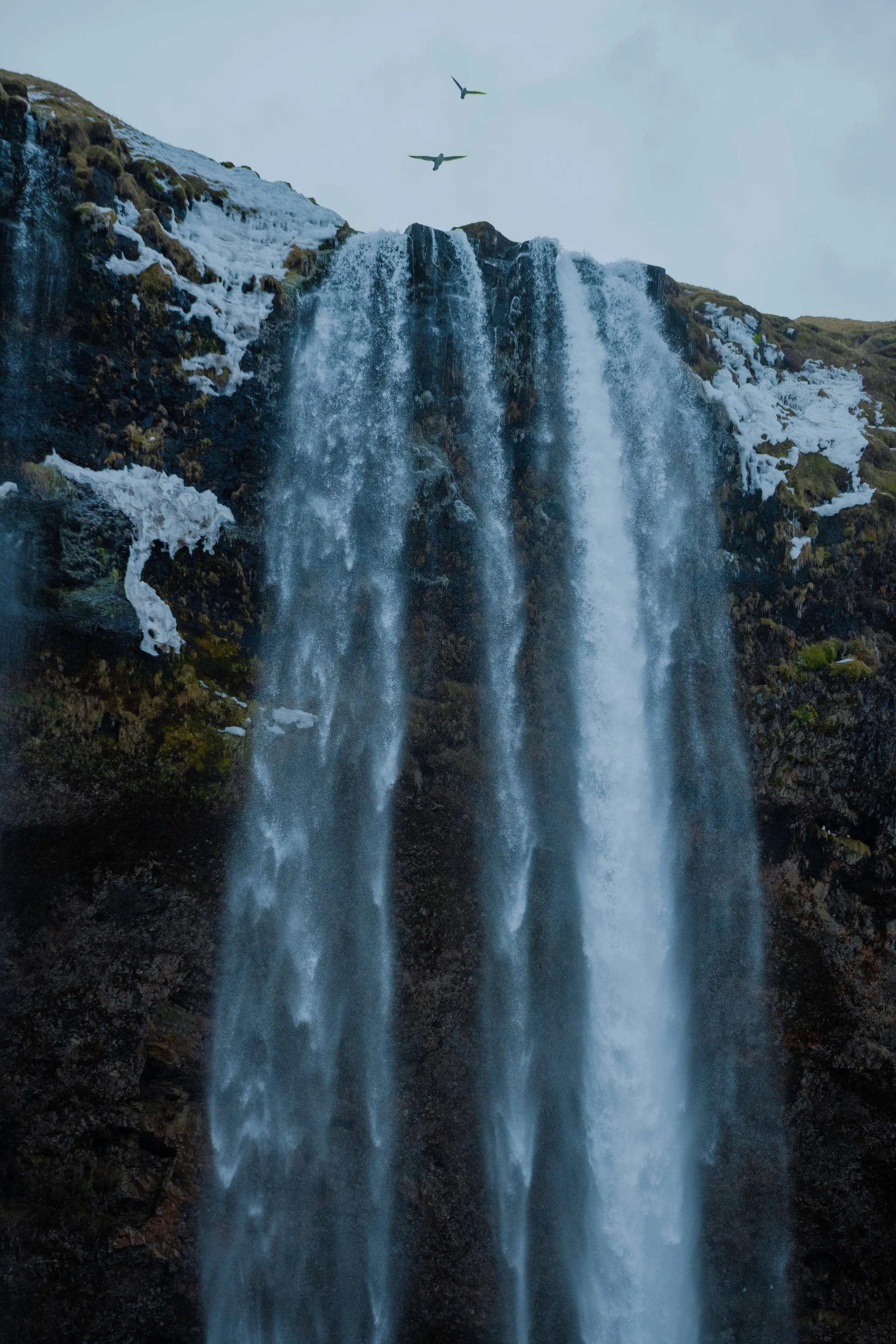 Iceland2024-58.jpg
