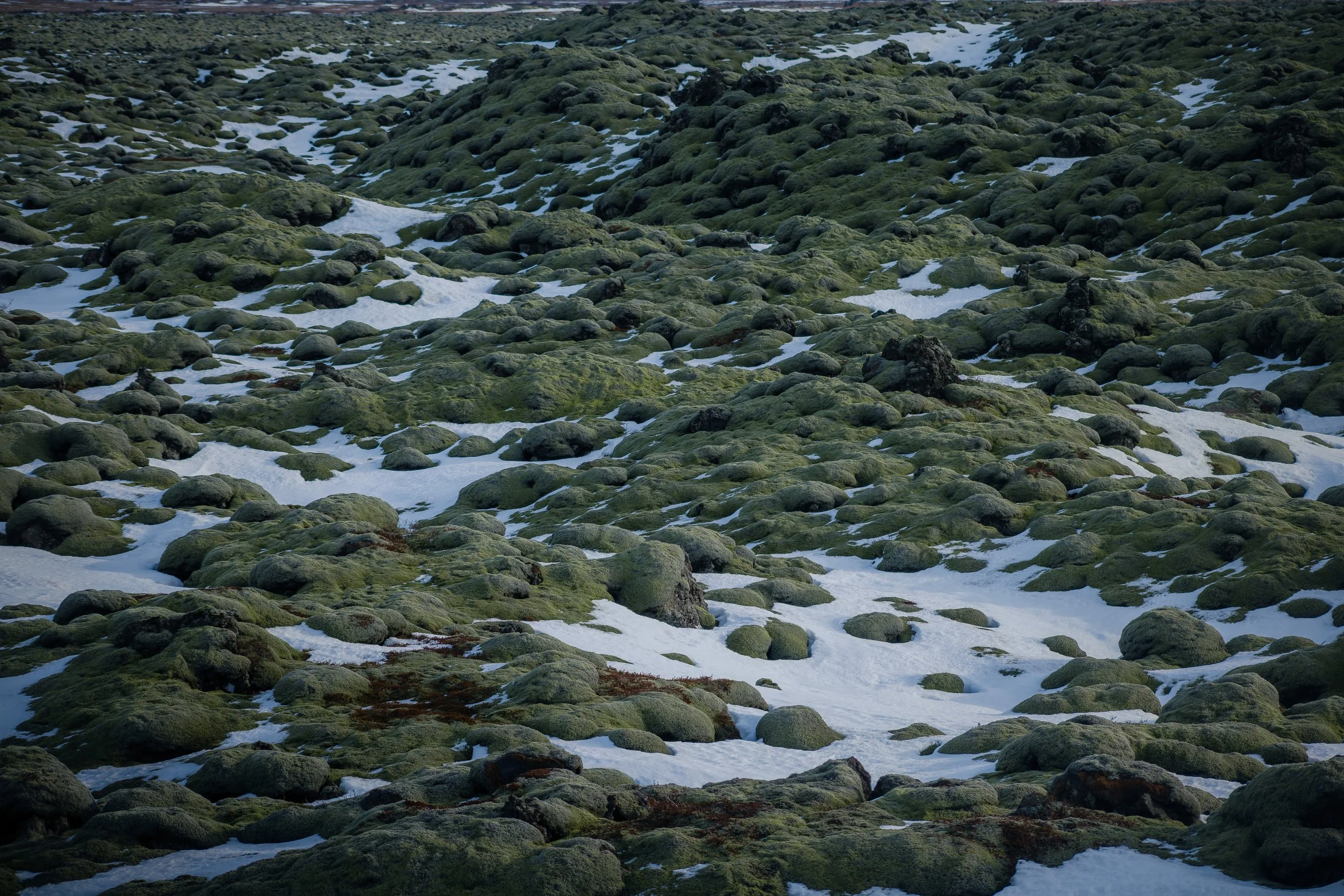 Iceland2024-105.jpg