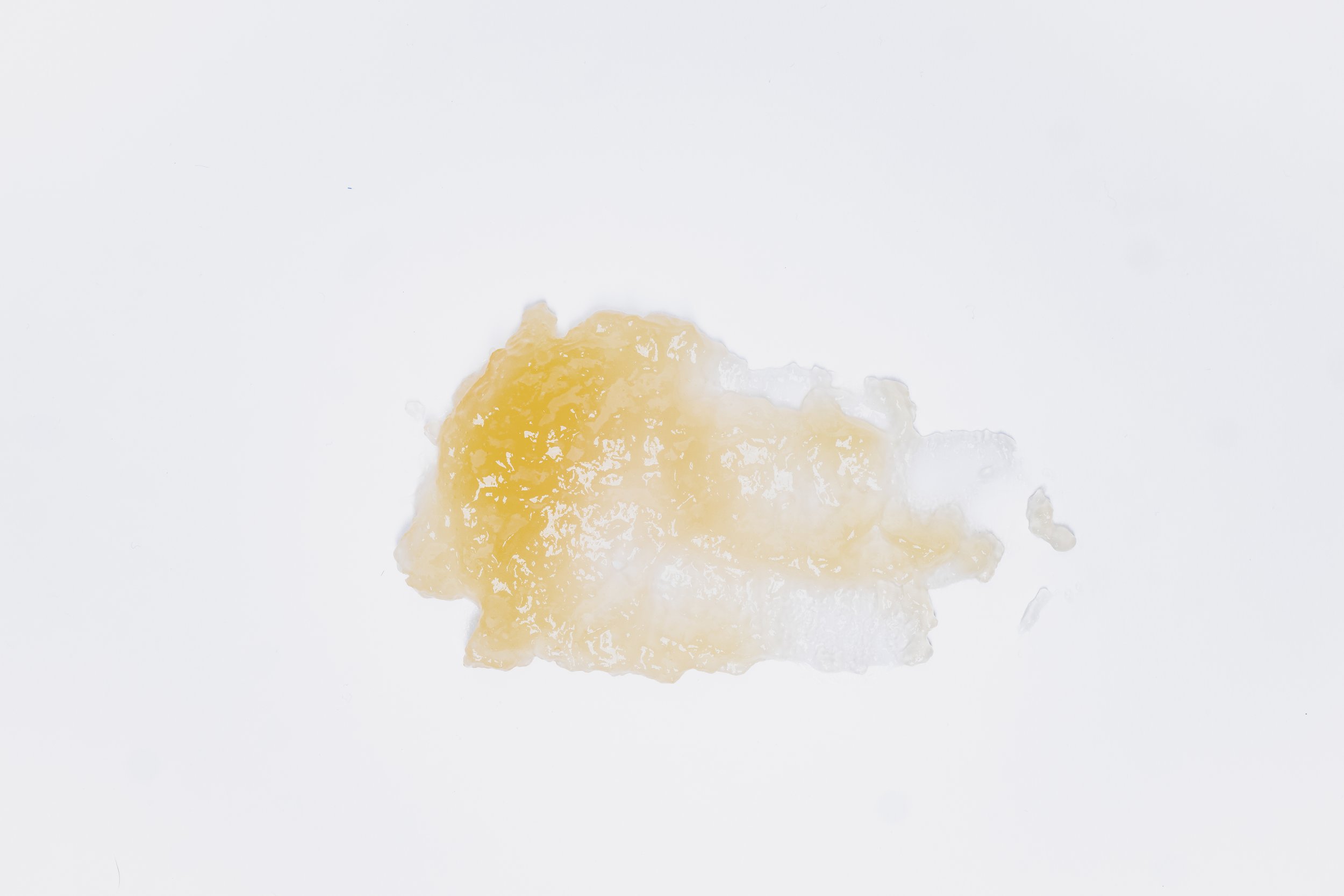 Elixir92-484.jpg