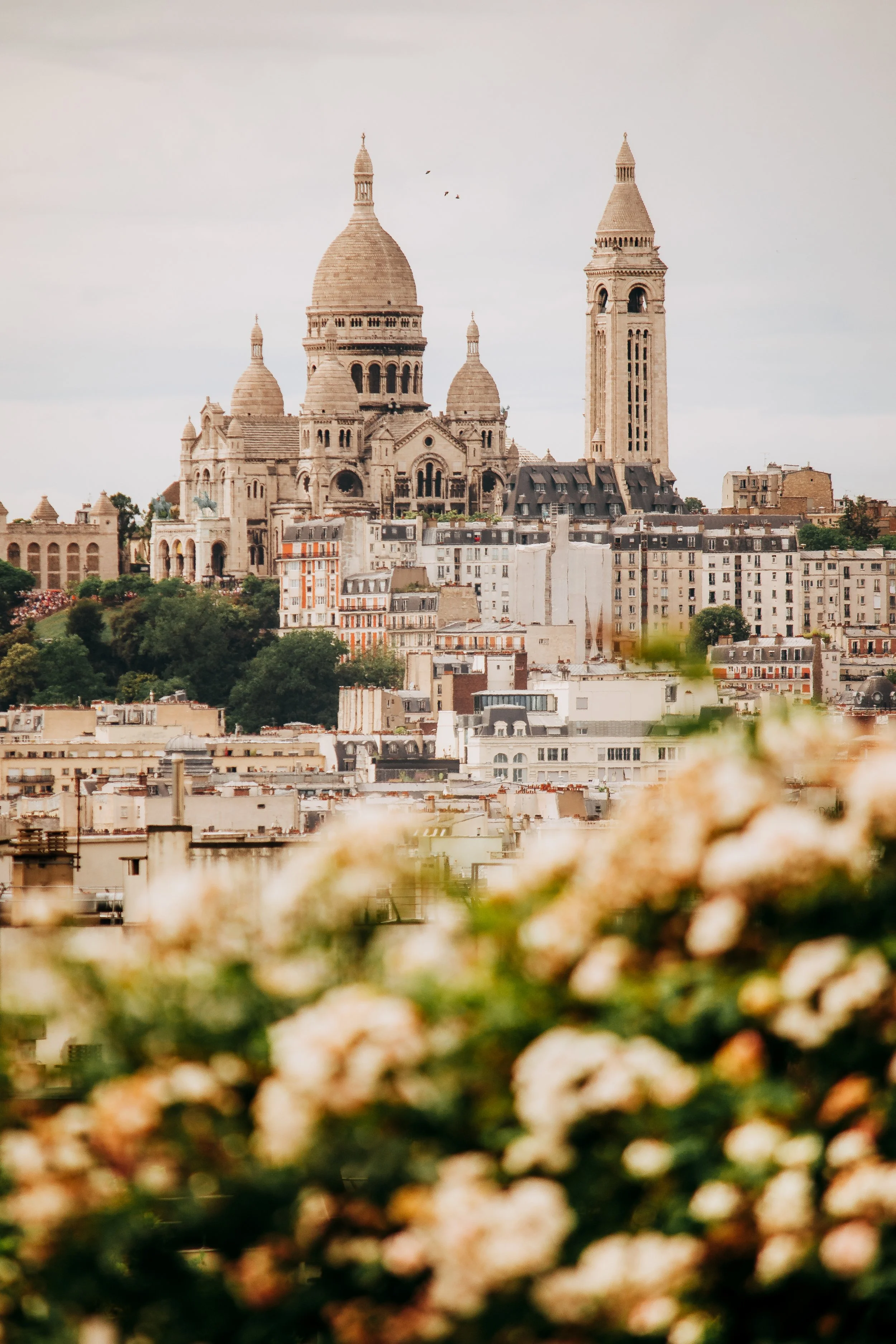 Paris-120.jpg