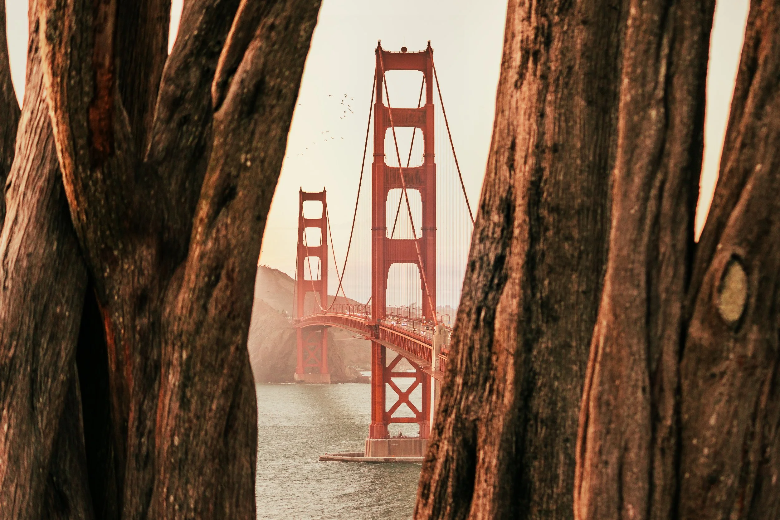 SanFrancisco-10.jpg
