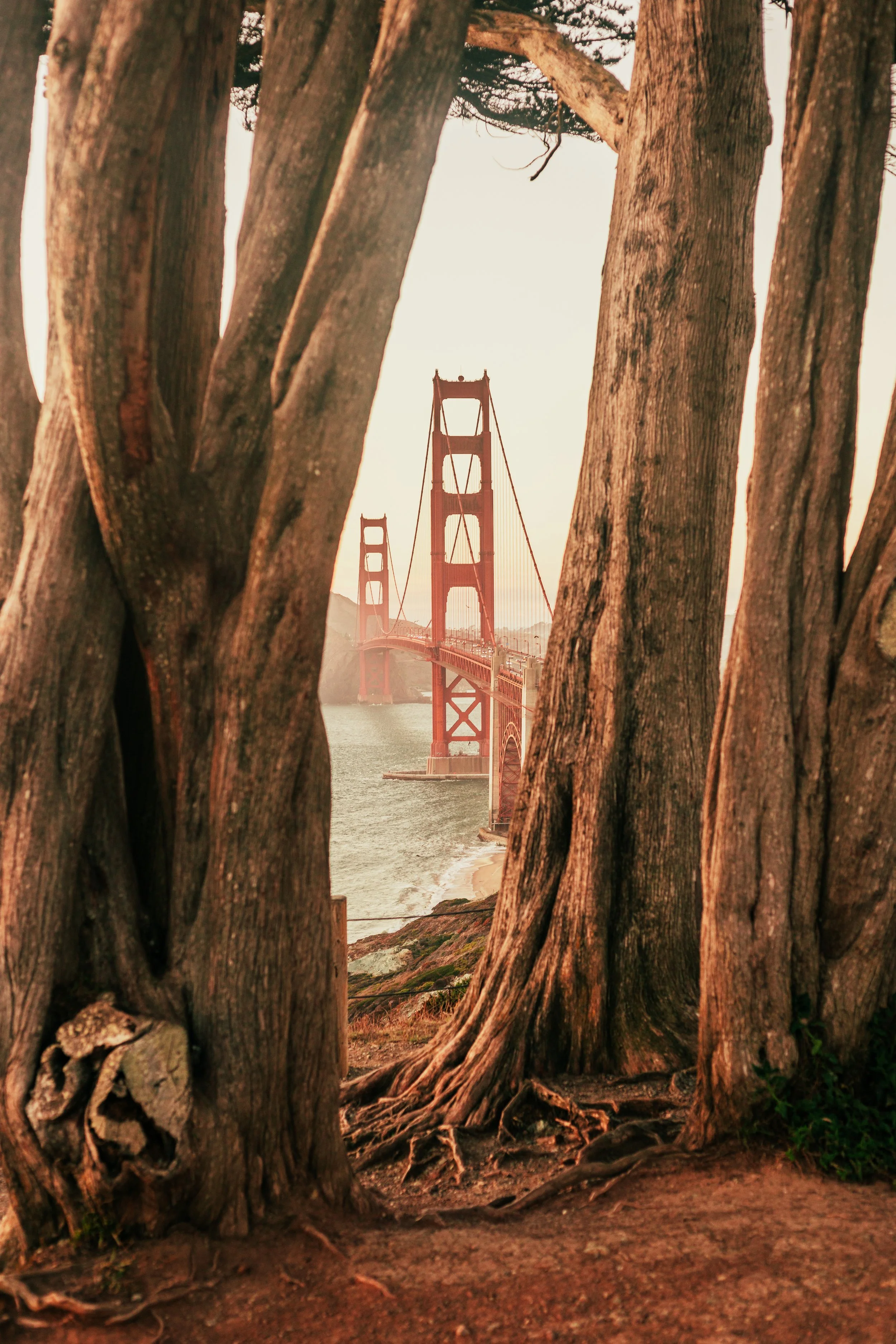 SanFrancisco-9.jpg