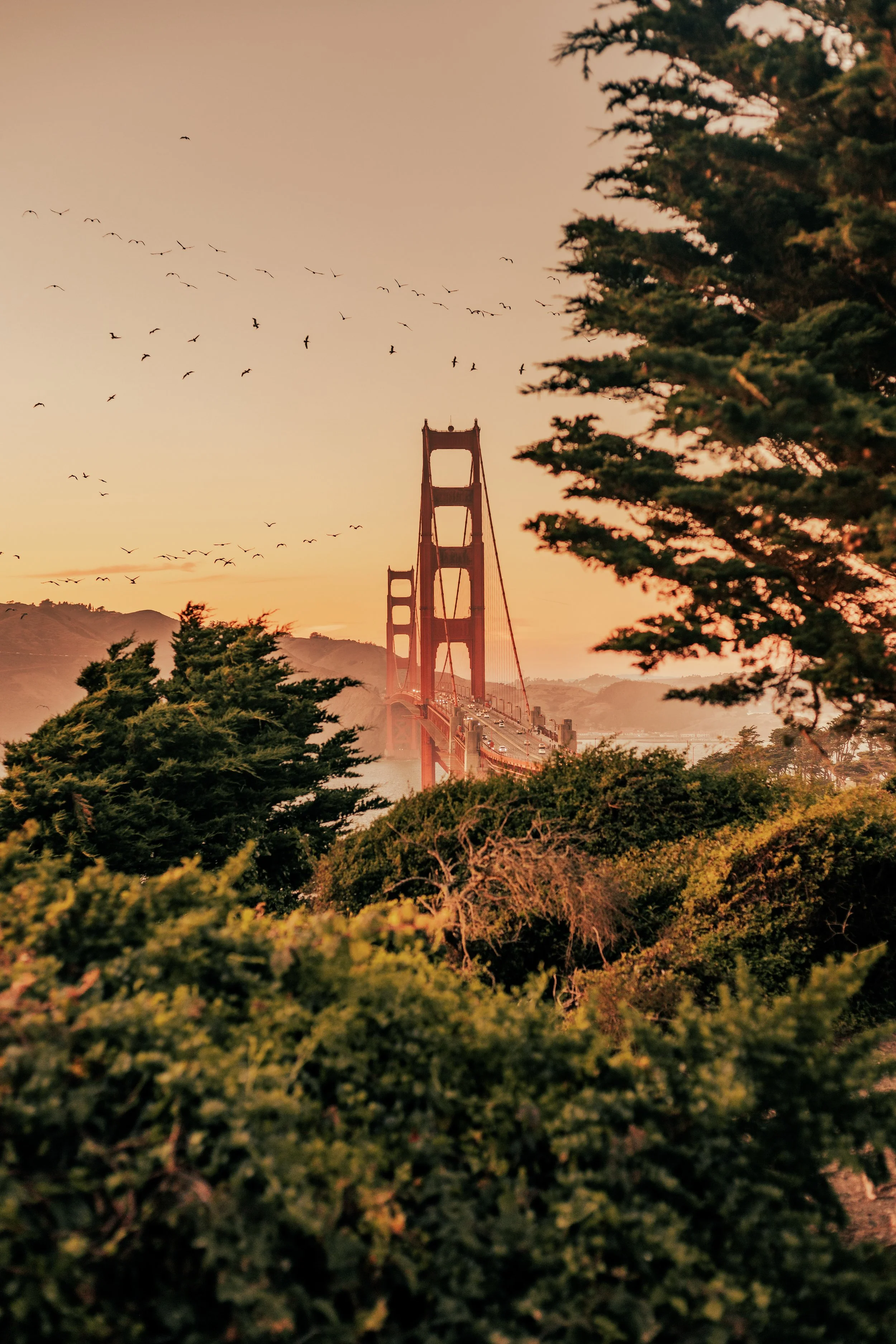 SanFrancisco-13.jpg