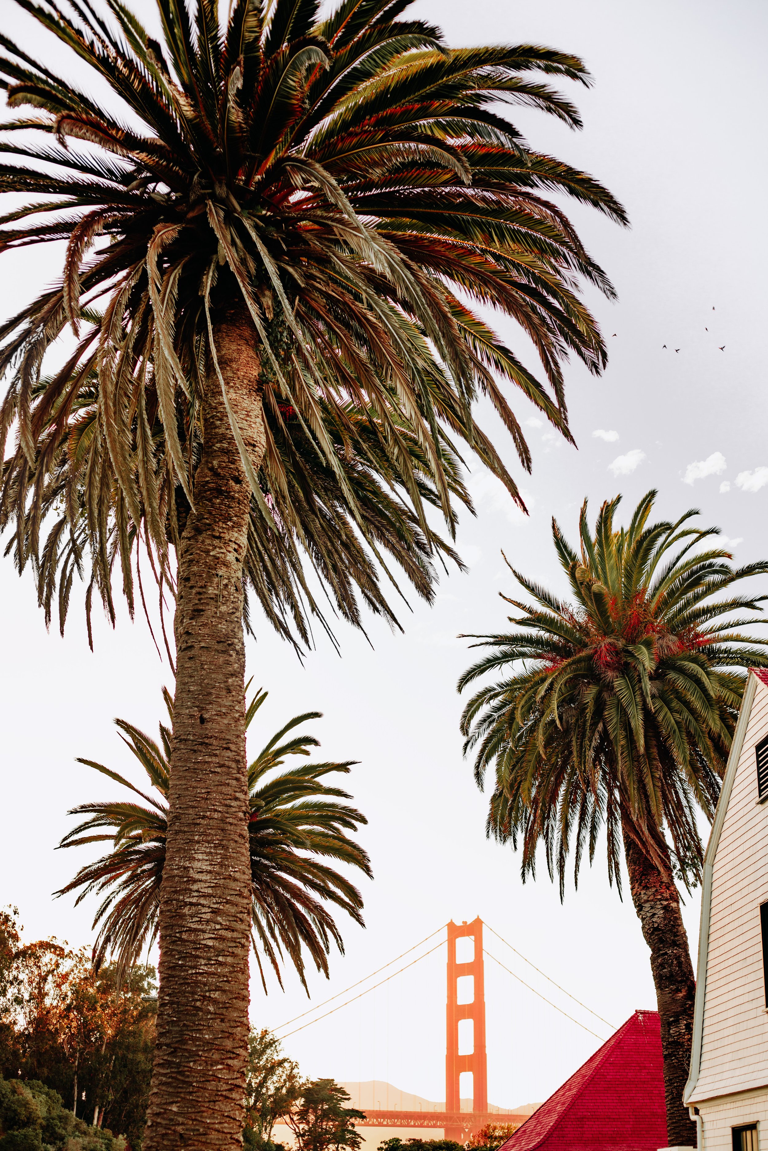 SanFrancisco-27.jpg