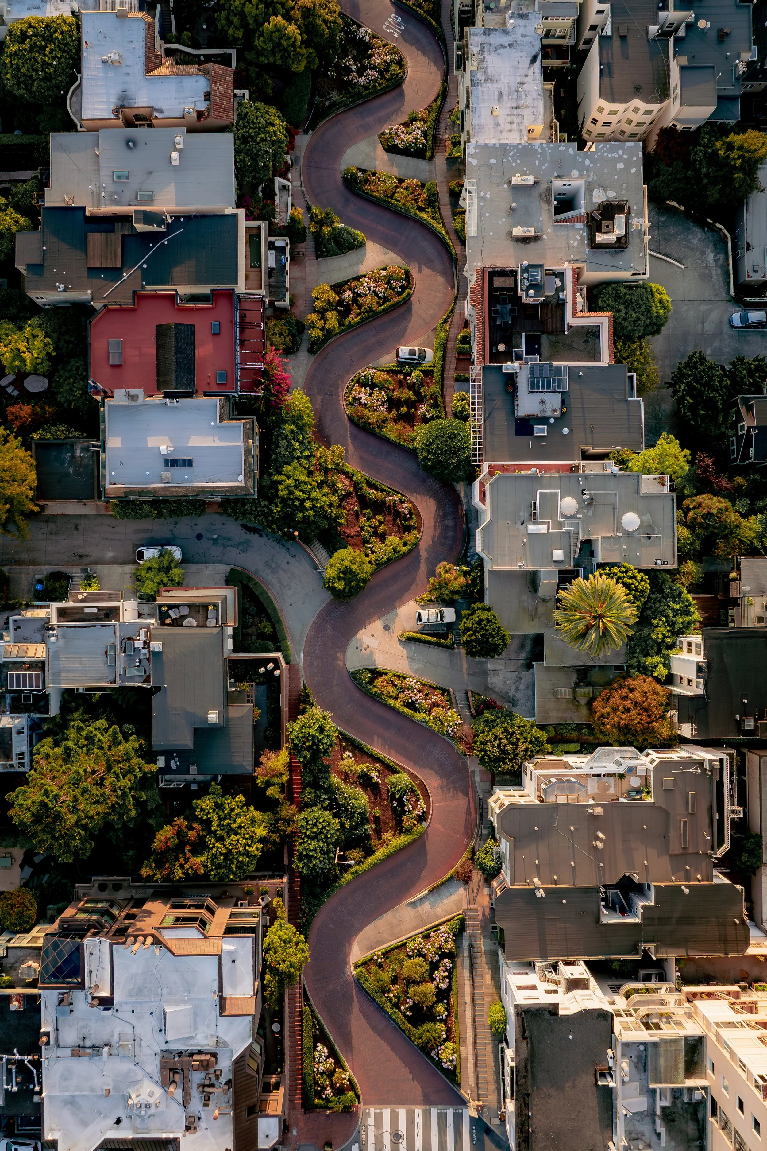 SanFrancisco-52.jpg