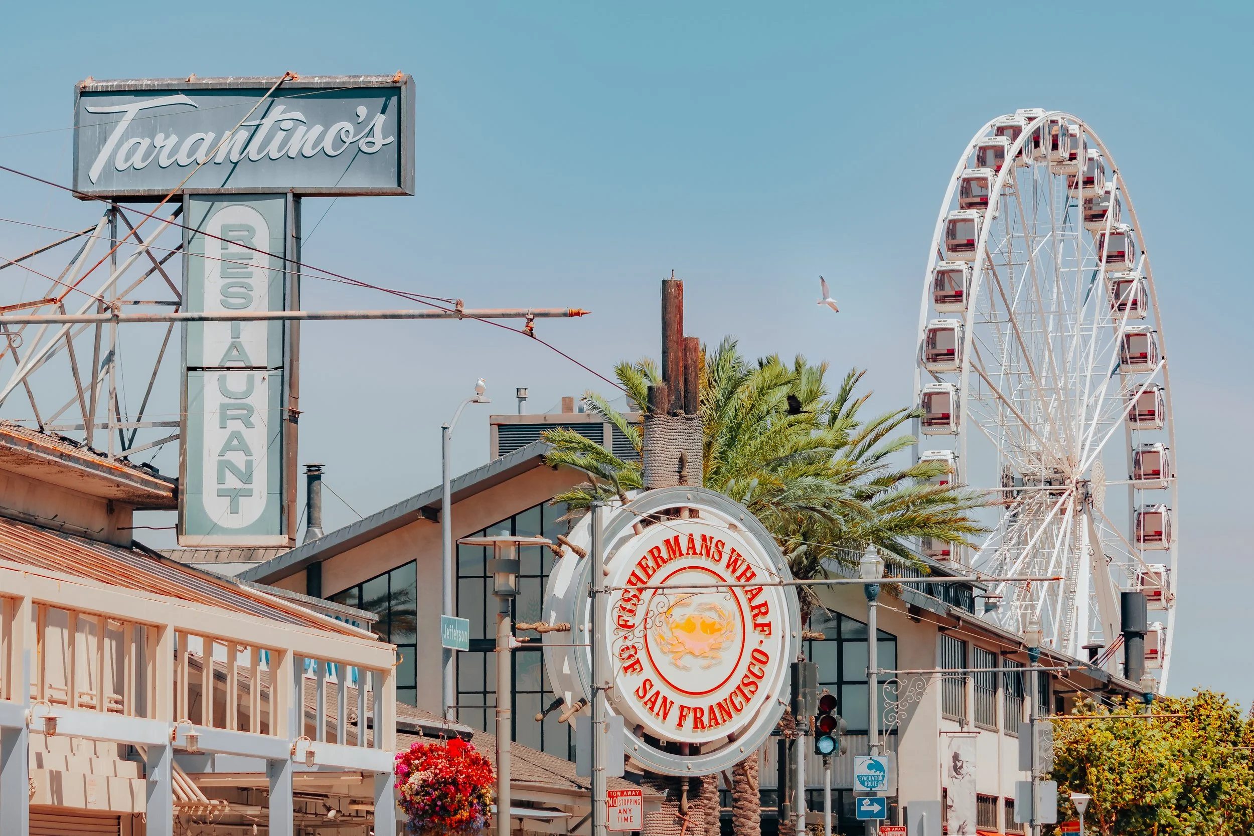 SanFrancisco-103.jpg