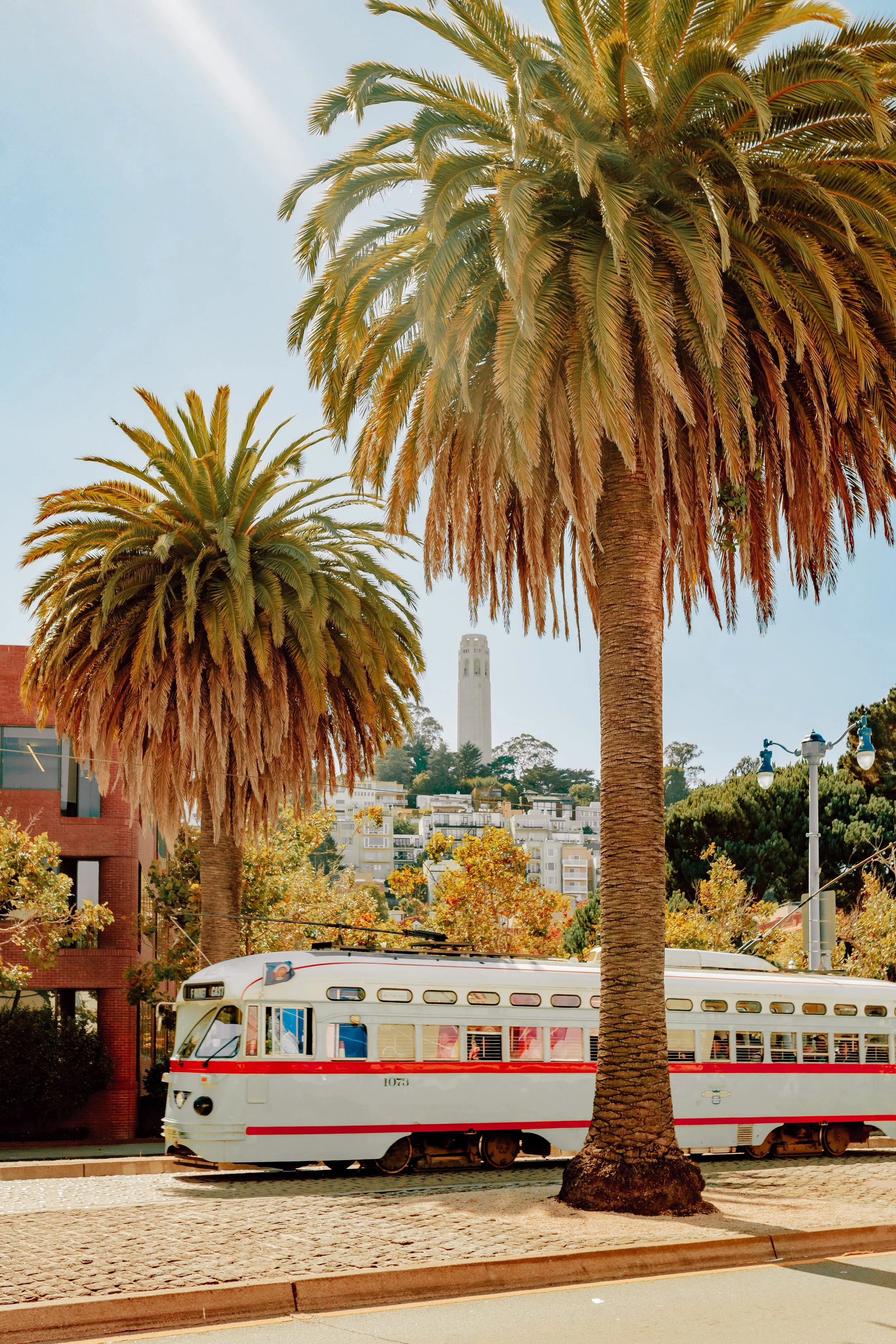 SanFrancisco-107.jpg