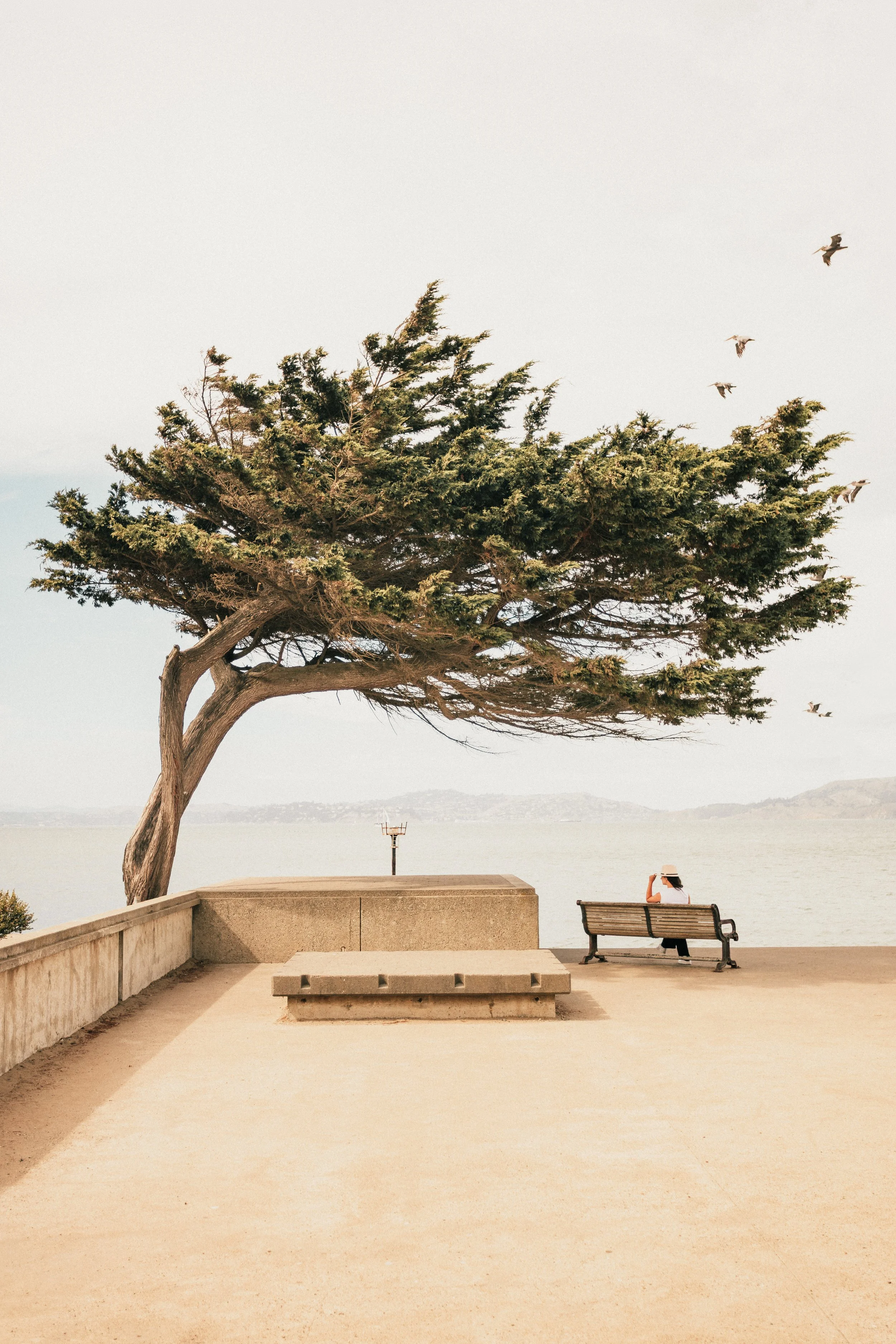 SanFrancisco-112.jpg