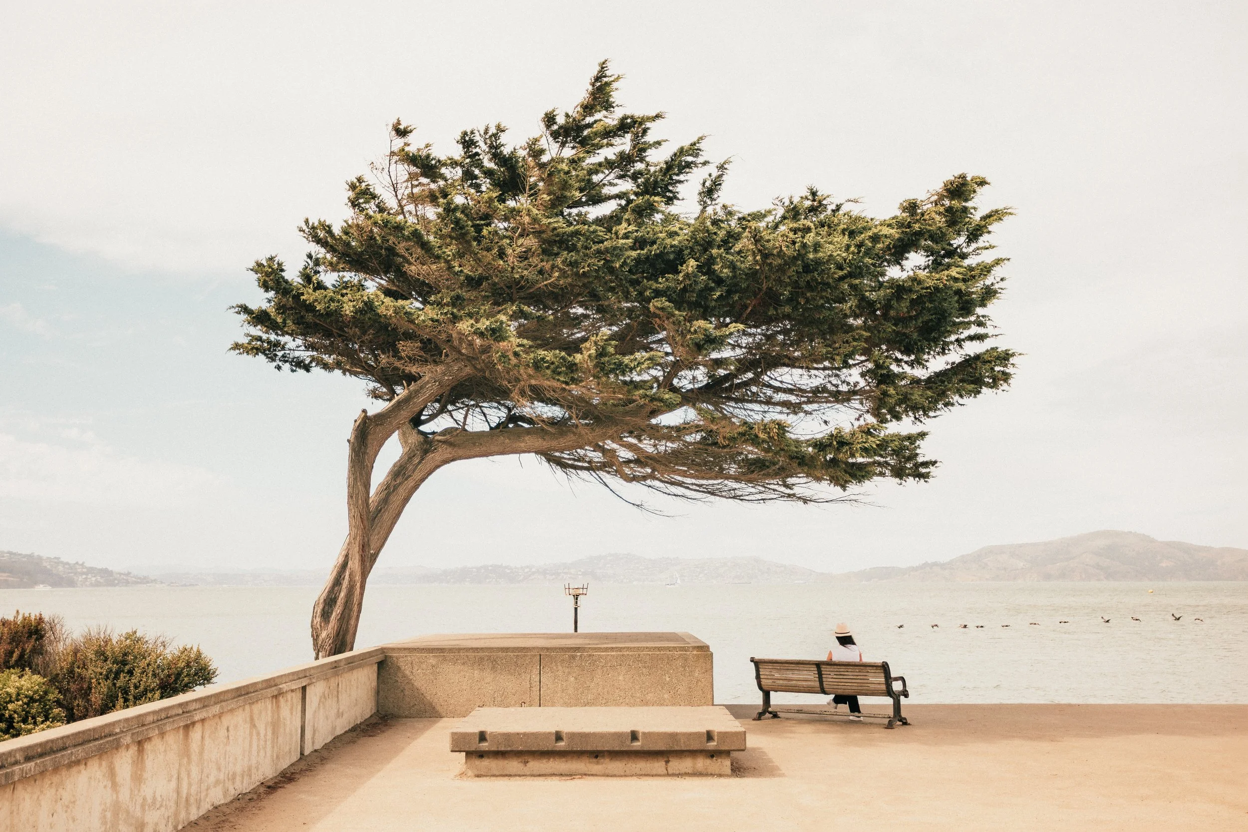 SanFrancisco-113.jpg