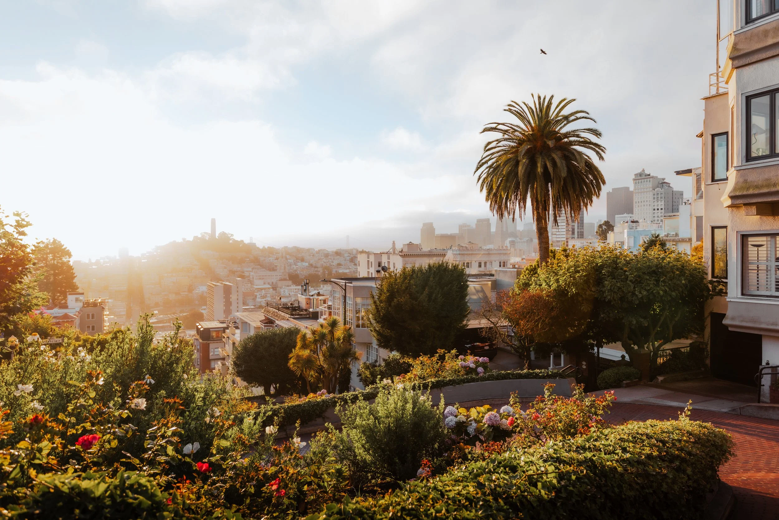 SanFrancisco-141.jpg