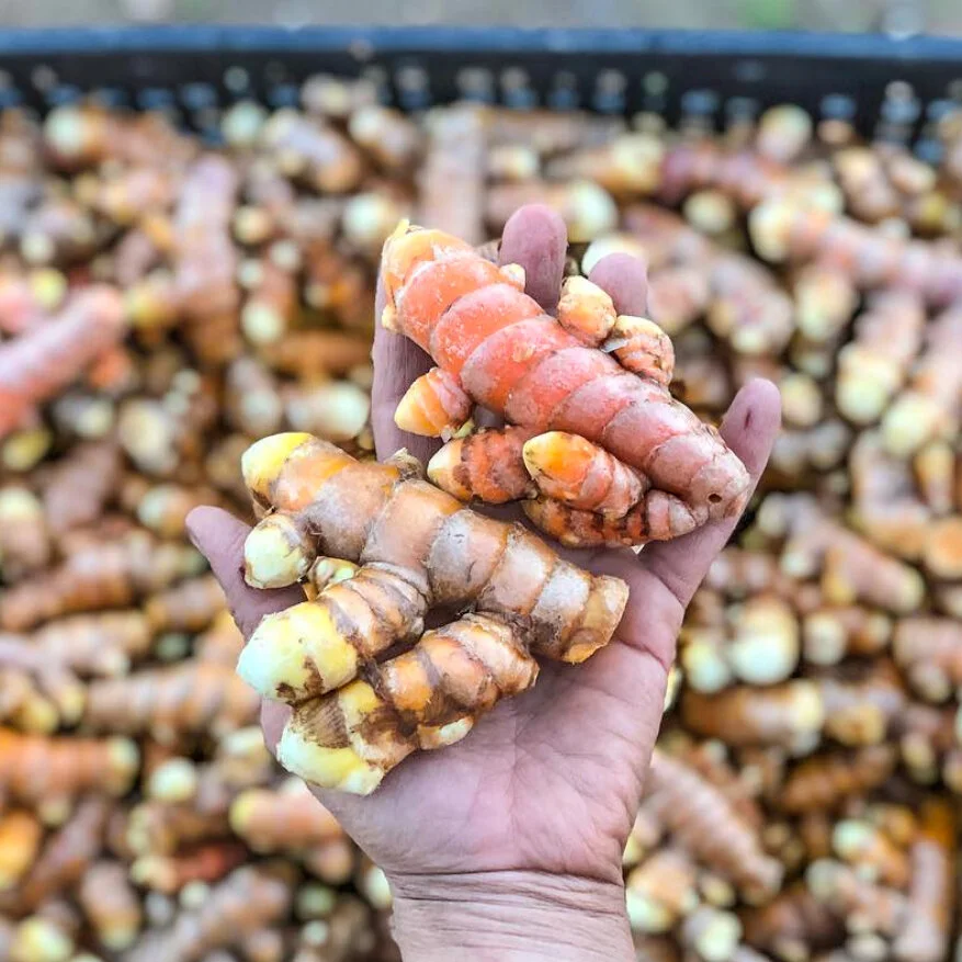 2019-10-11_-3.jpg