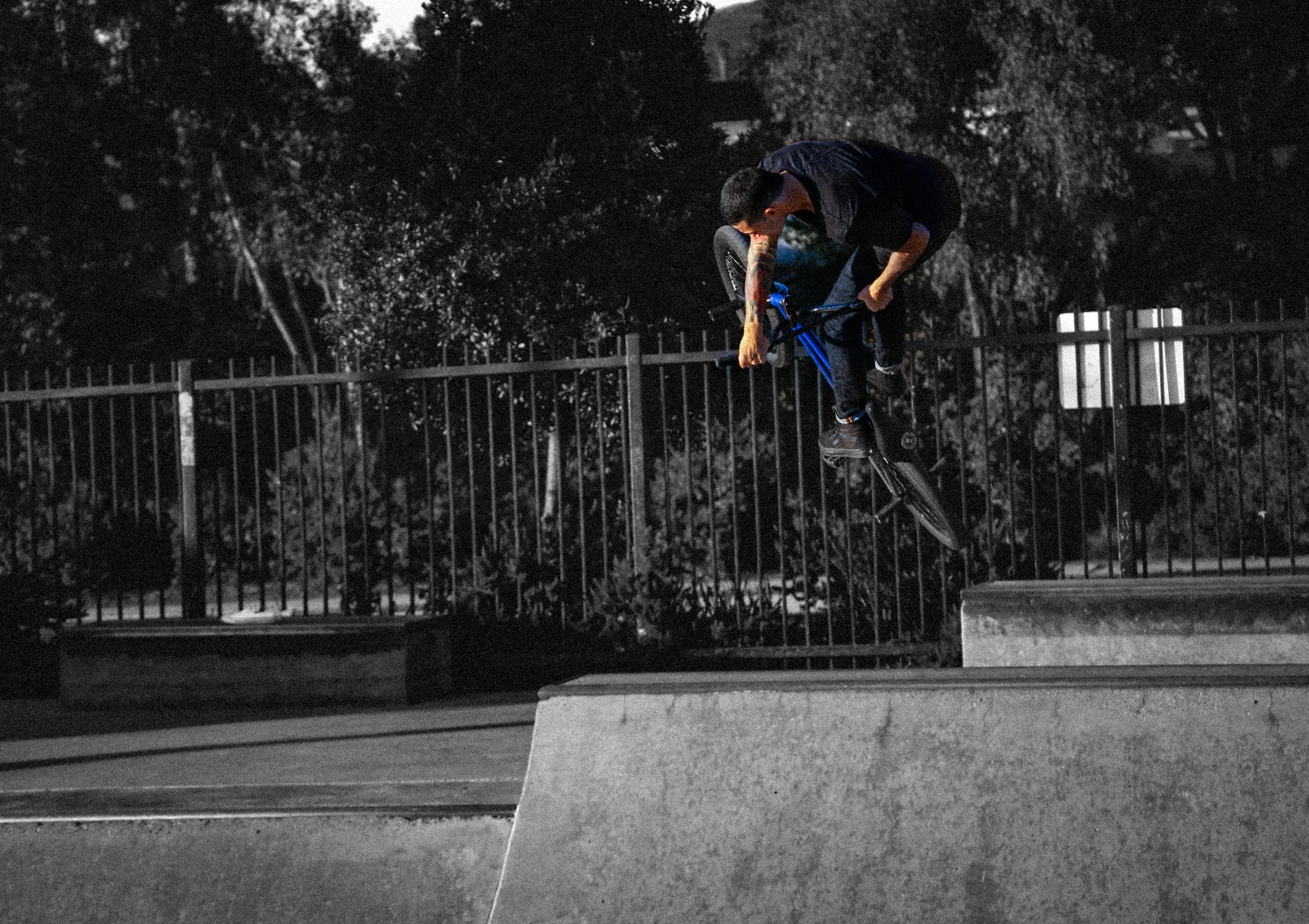 Adam Blanco Turndown at PQ Skate Park 12.29.2018