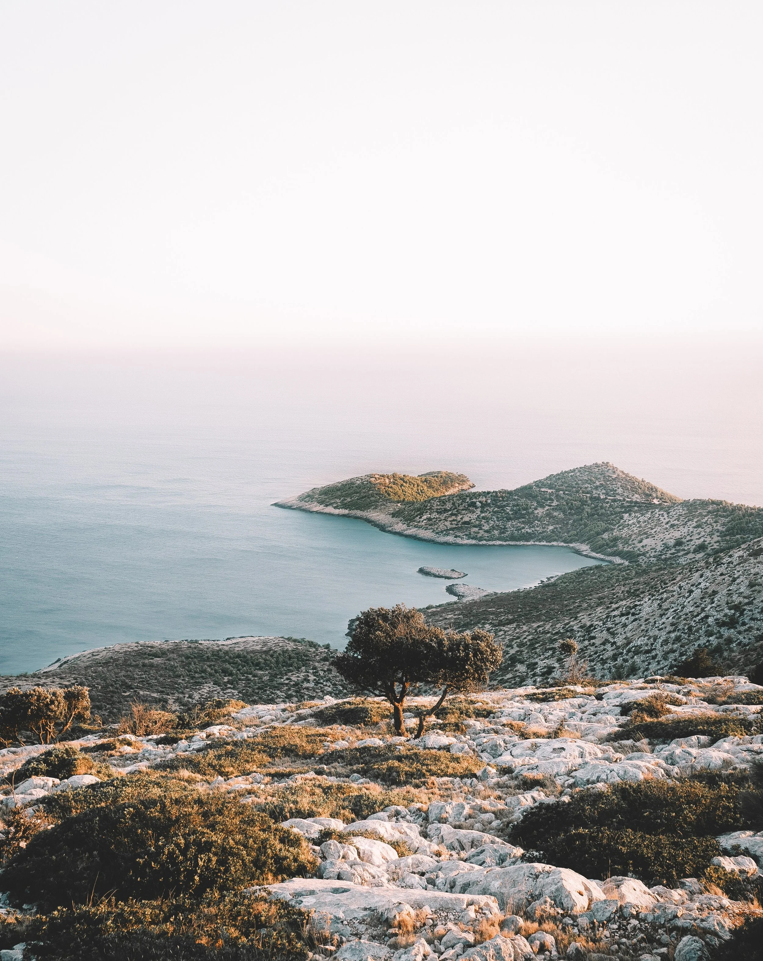 C675AE83-0E8A-493E-9479-3859F72FDA8C-29206-00000E8FB77746AE Edited.JPG