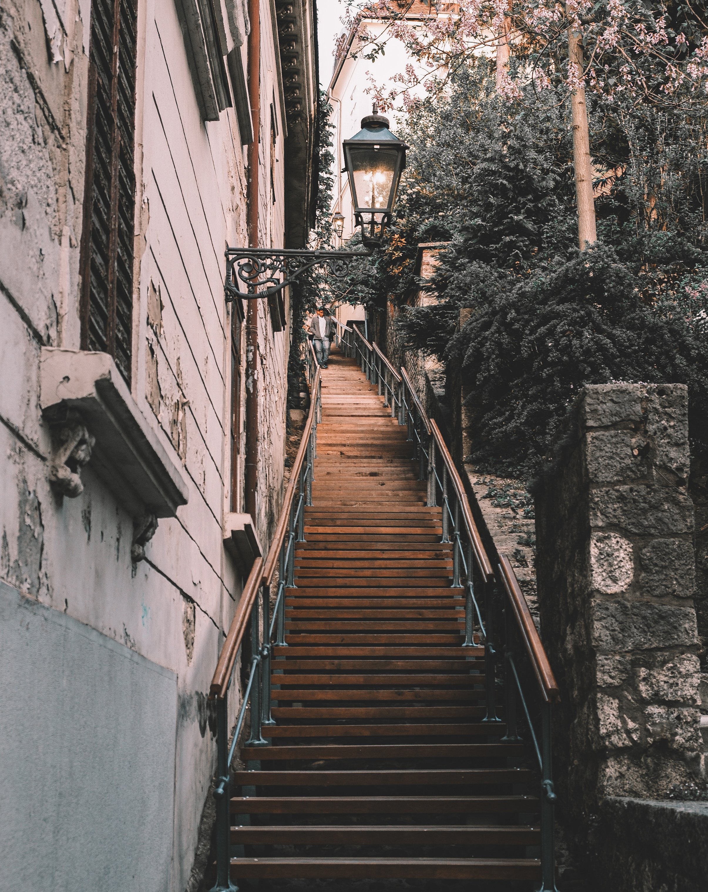 1F73C6E0-A32B-4CF3-A1DA-747245BED559-87352-00003546EC18AAAD Edited.JPG