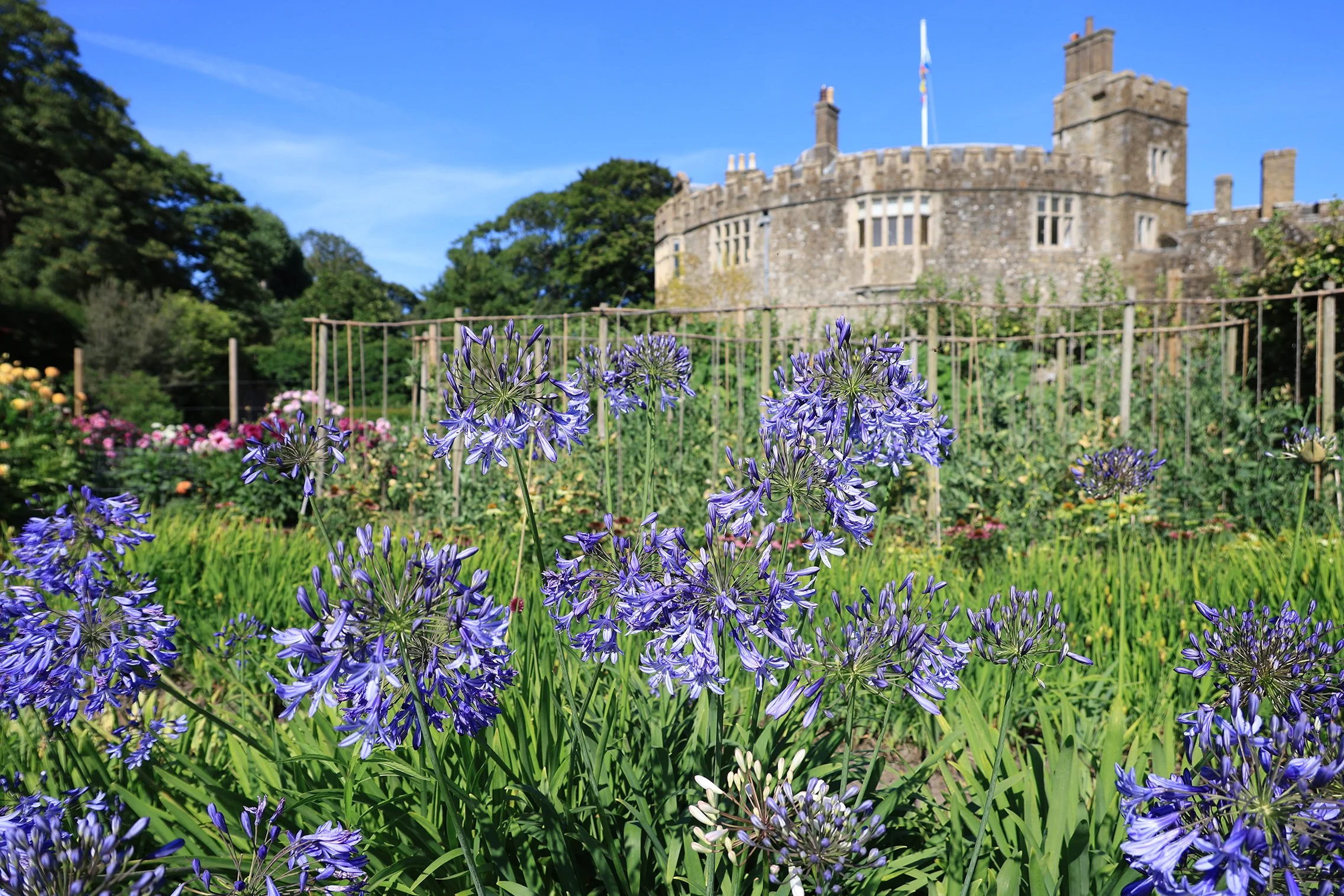HM The King visits Walmer Castle  4F2A1463.jpg