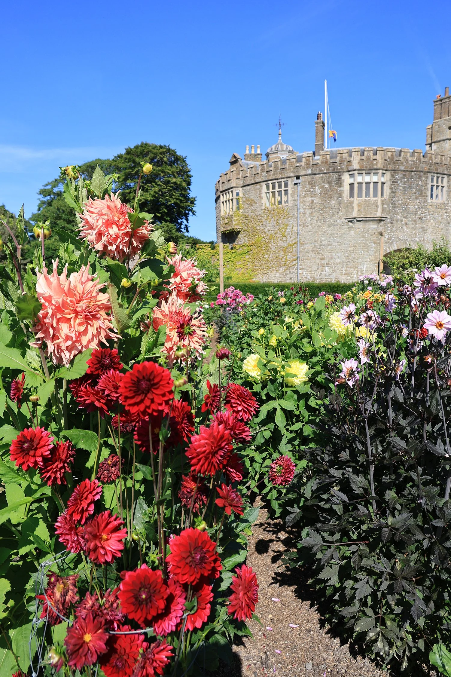 HM The King visits Walmer Castle  4F2A1495.jpg
