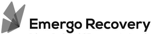 emergo-logo_2x.png