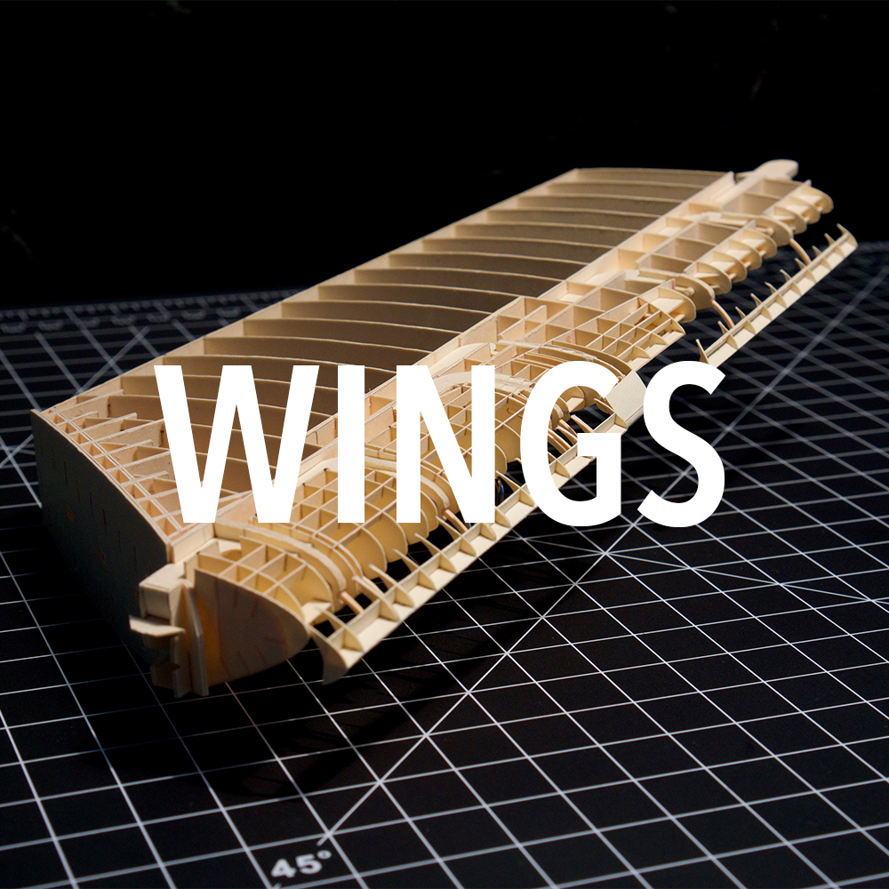 Wings.jpg