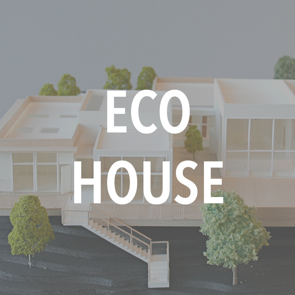 Eco House.jpg