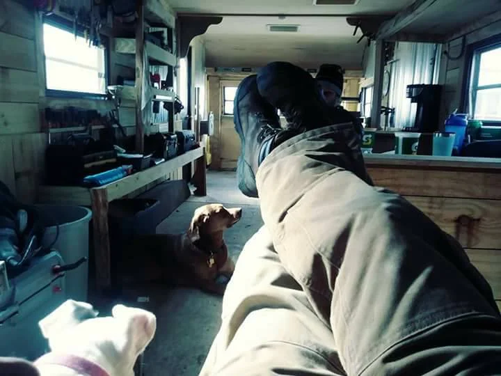 dogghouse9.jpg