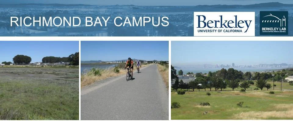 Blueprints for a Community