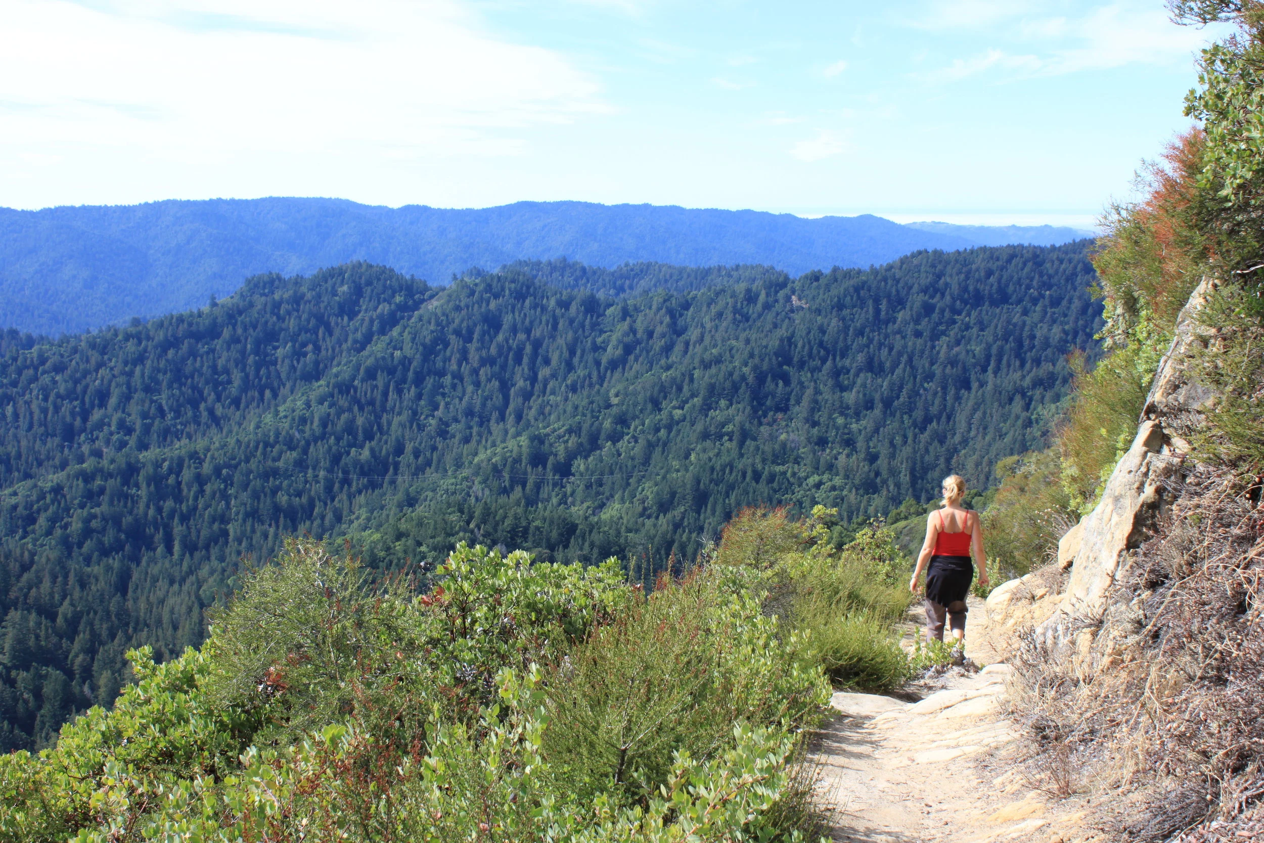 Commission demands funds for modernization of state parks