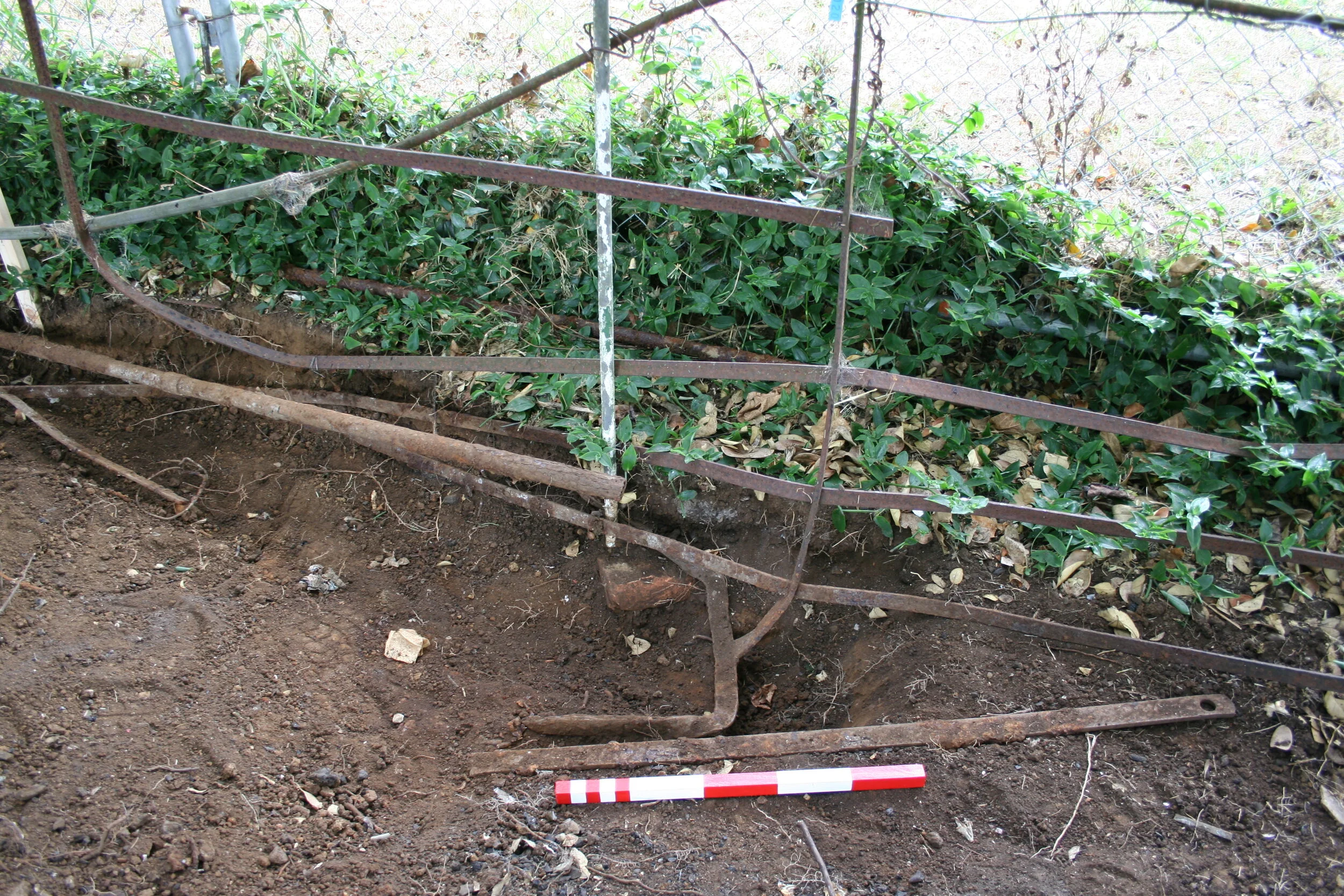  a section of the wrought iron Hurdle fence at Monte Cecilia park prior to restoration. 