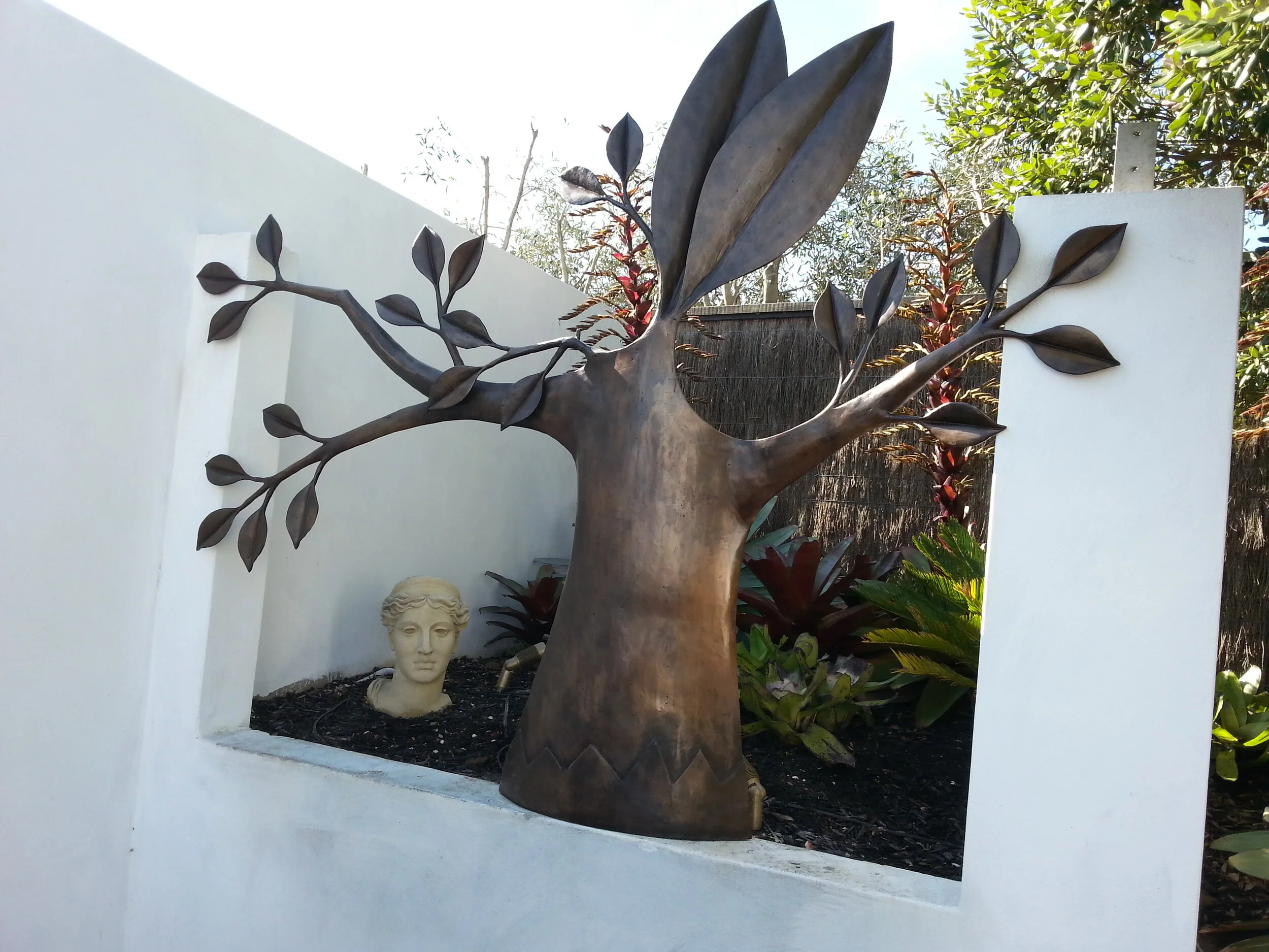 "Life tree" Waiheke Island