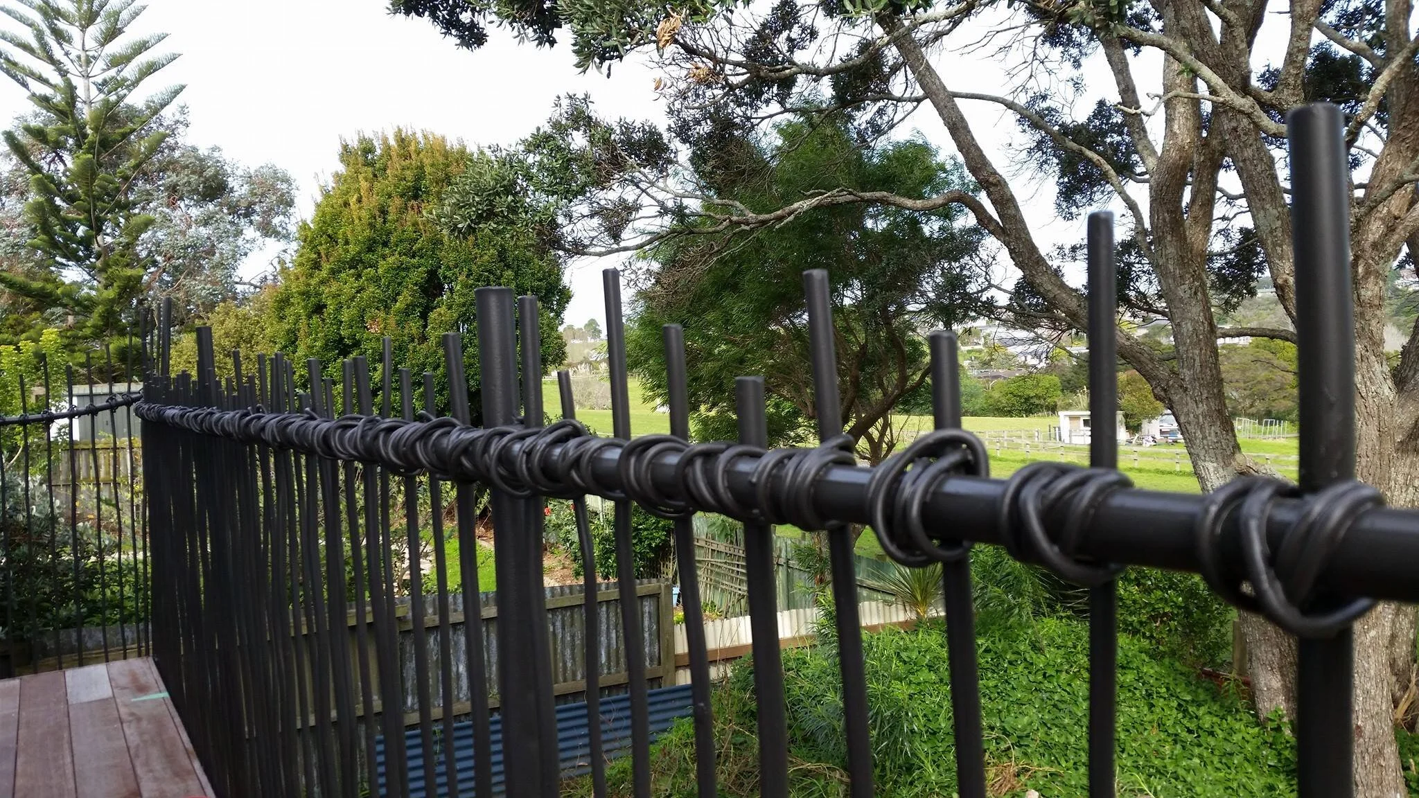 Pah railings 1.jpg