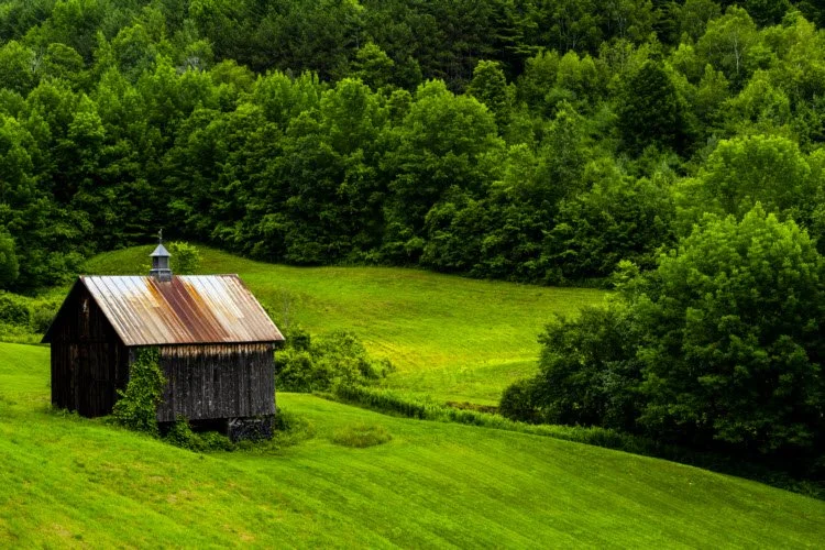   Barn, Cloudland Road, Pomfret, Vermont, 2021  