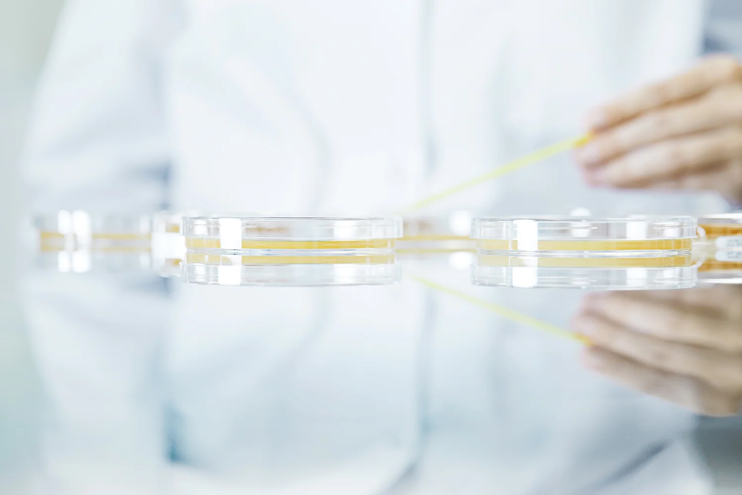 Alvotech_7328_01 copy.jpg