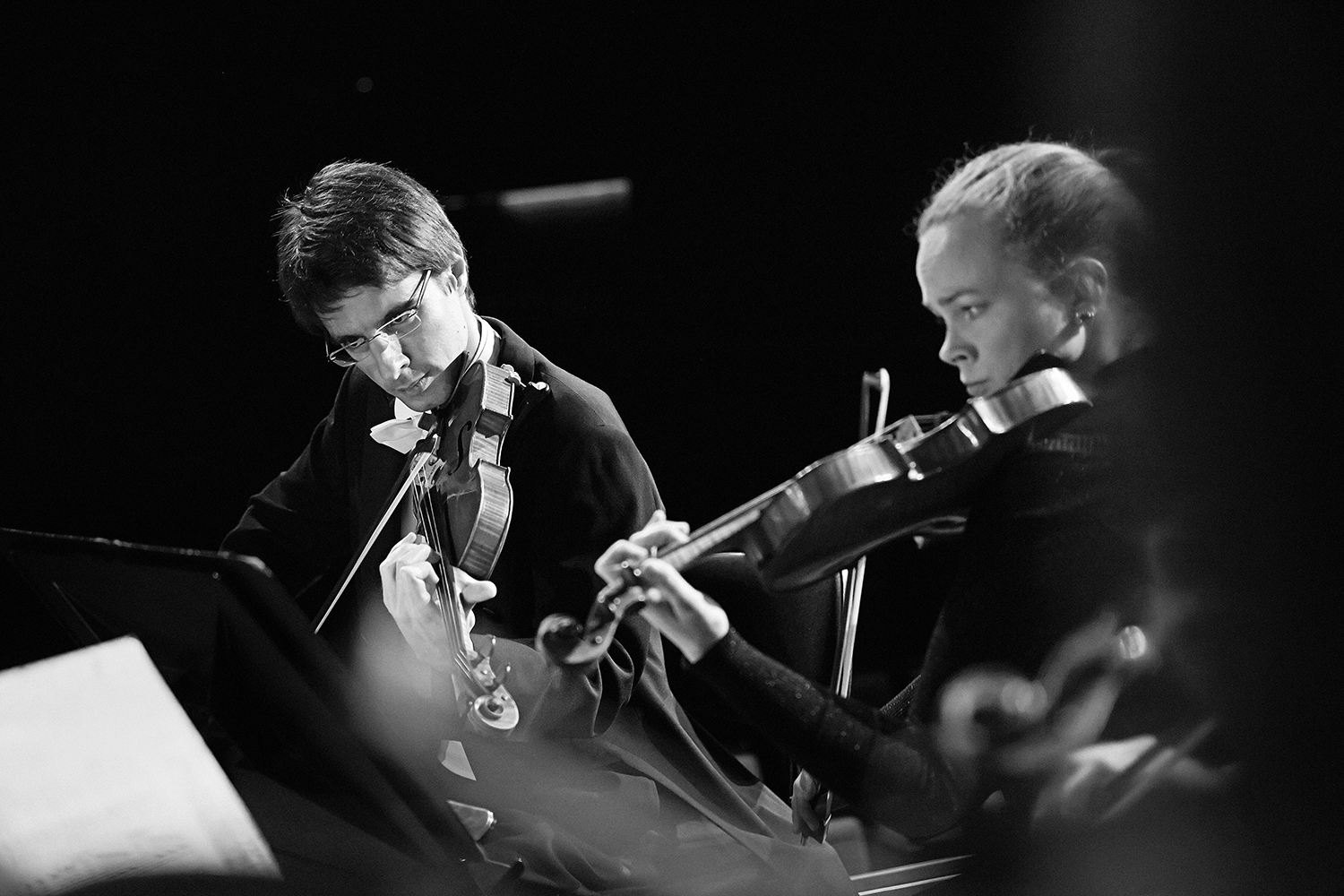 Sinfo_K9A1042 copy.jpg