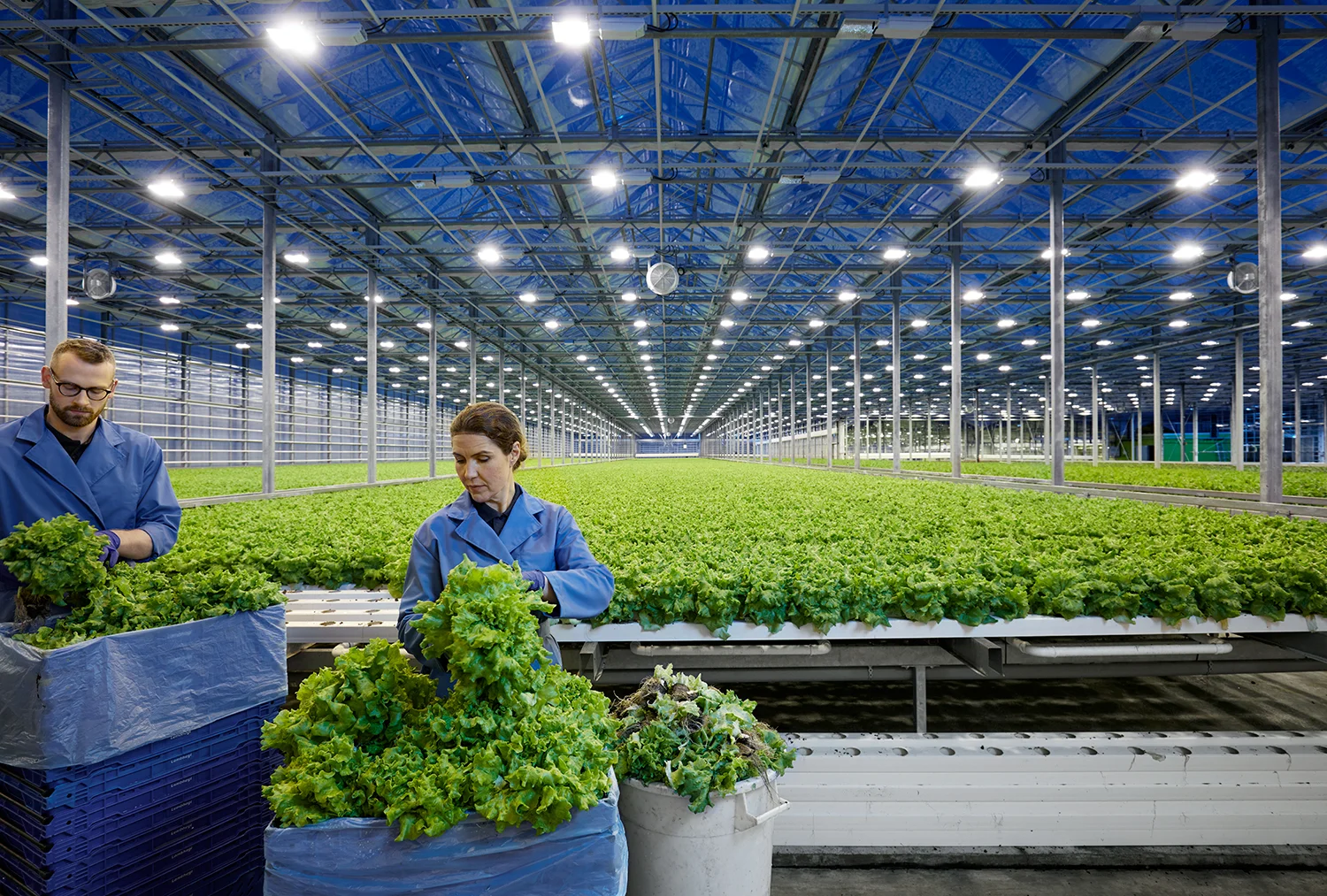 ISB_RI_5343_01 copy.jpg