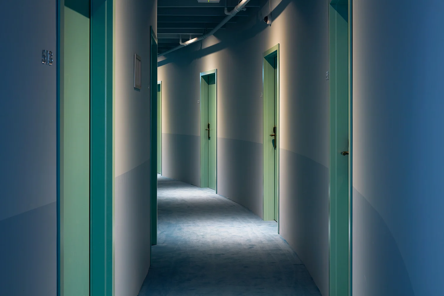 Oddson_RI_0420_01 copy.jpg