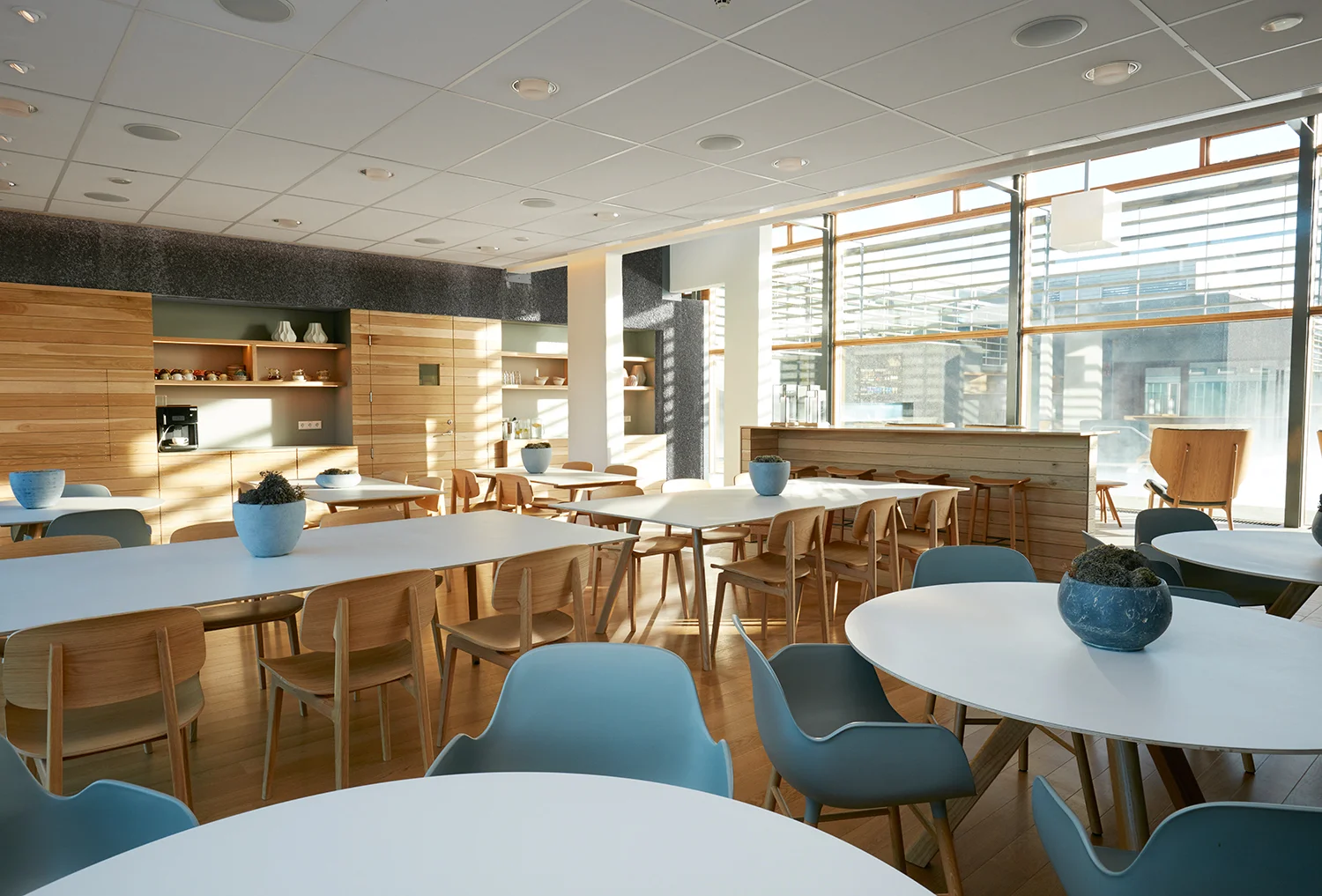 Blue_Lagoon__RI_8169 copy.jpg