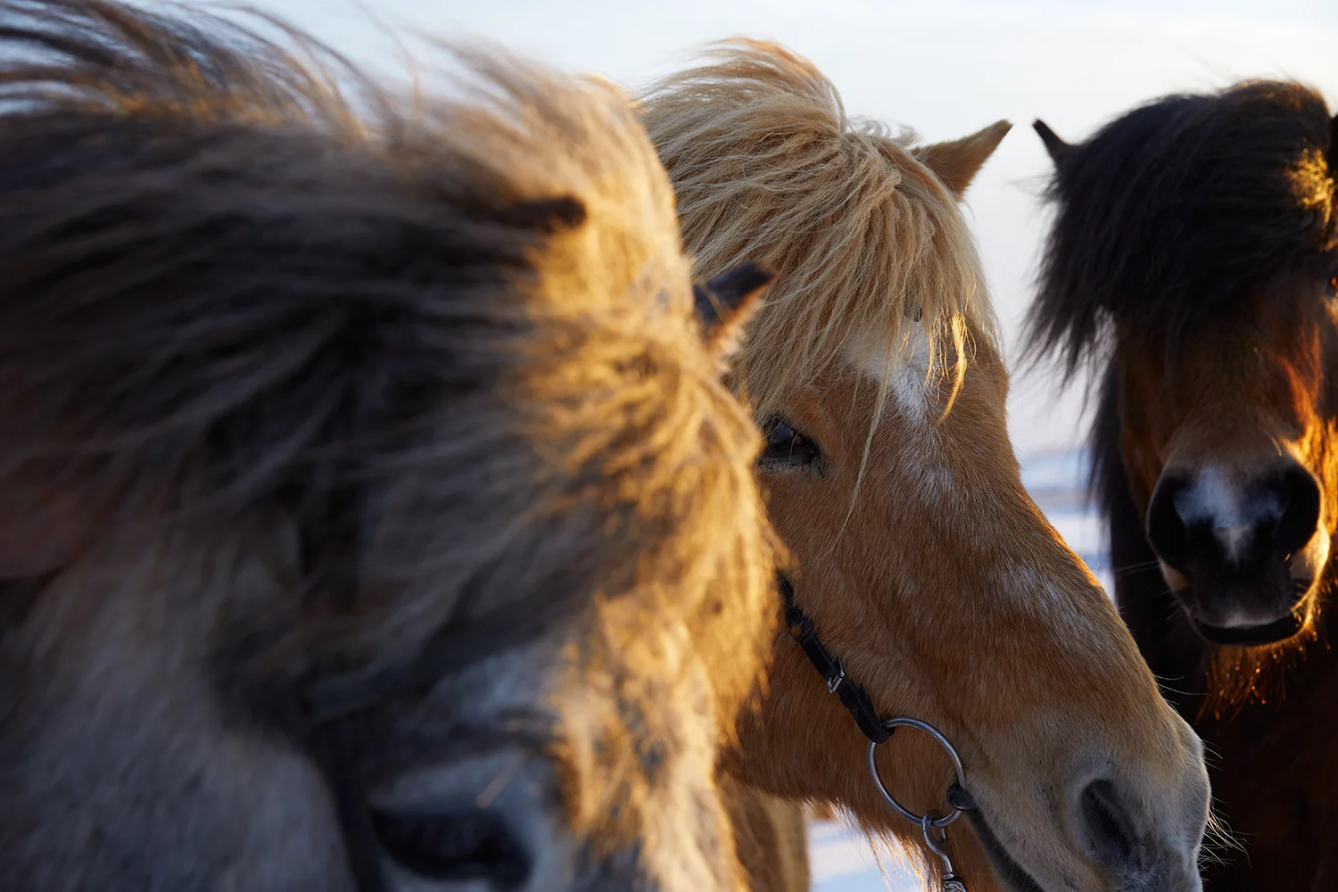 Landsbankinn_GY1A8355_01 copy.jpg