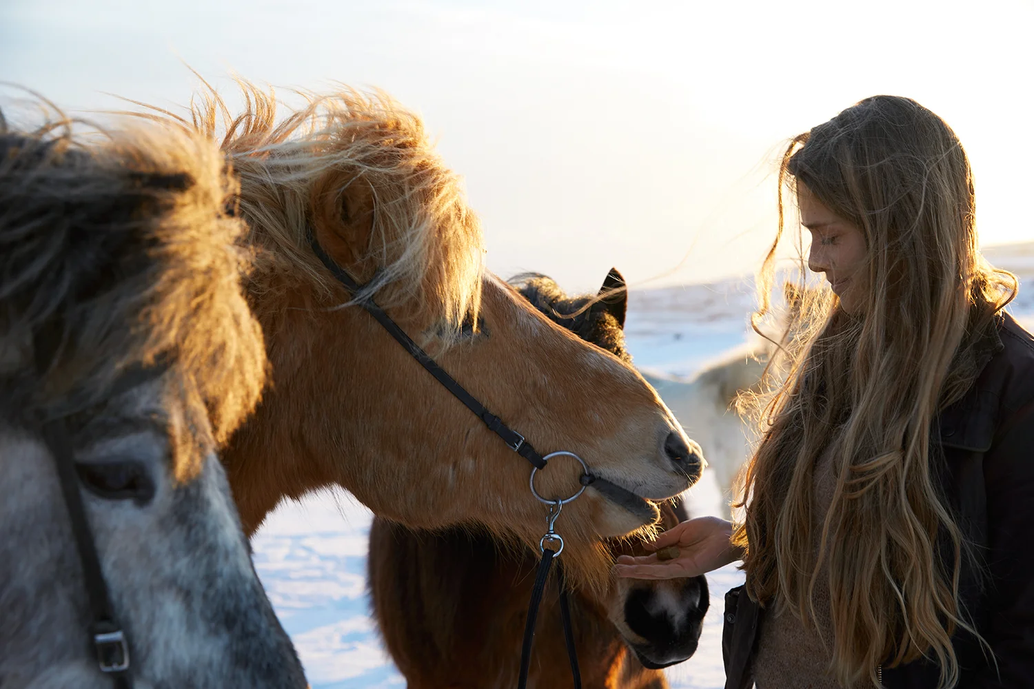 Landsbankinn_GY1A8348_01 copy.jpg