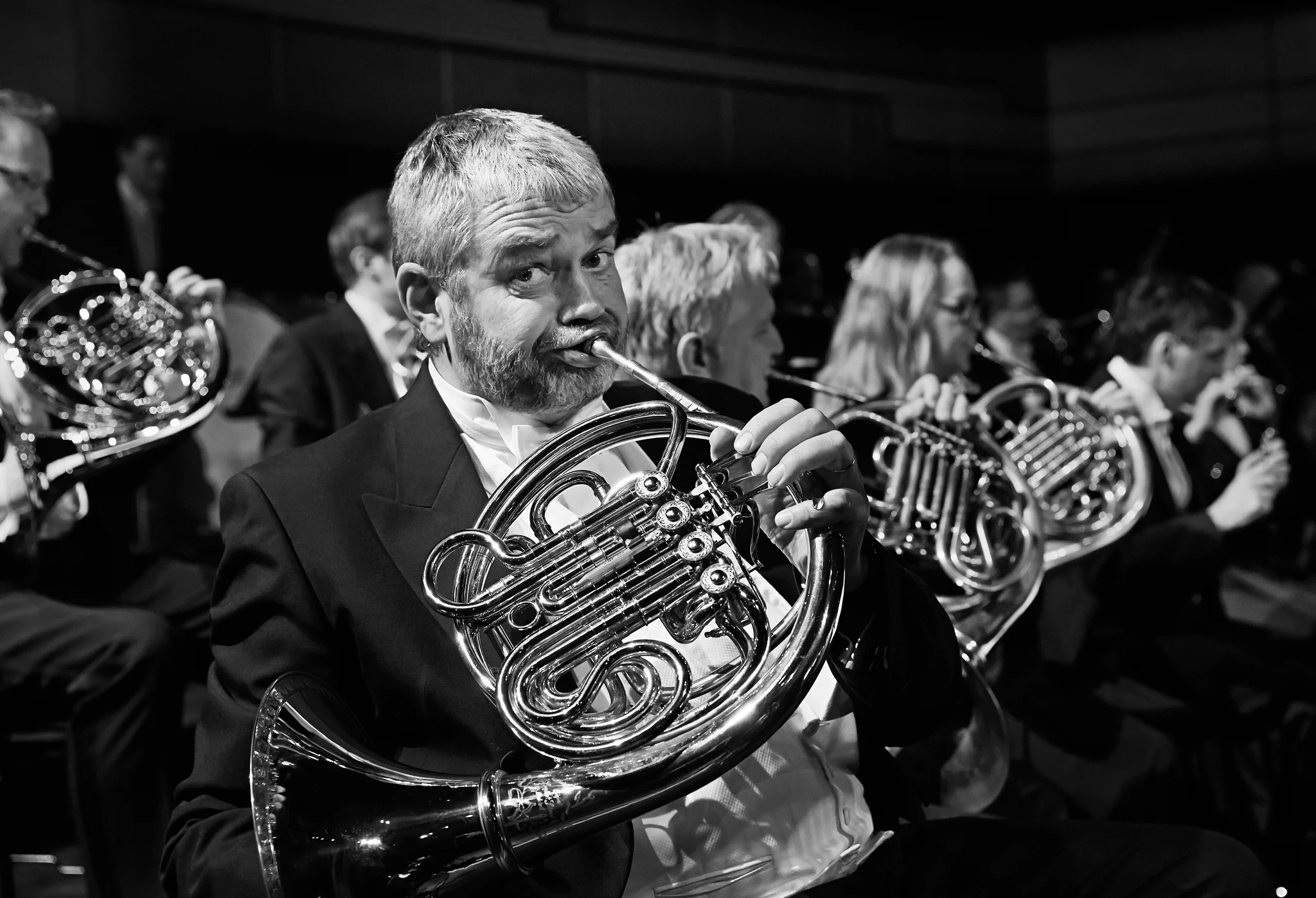 Sinfo_K9A0706 copy.jpg