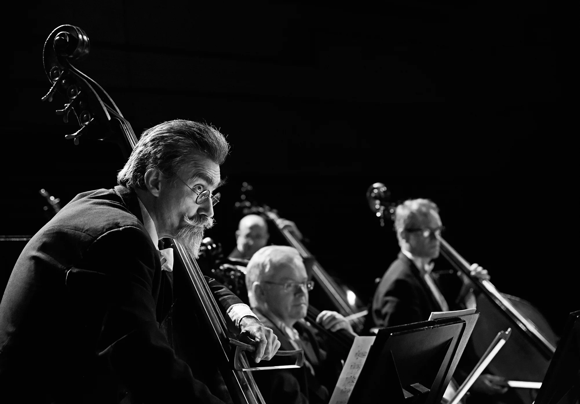 Sinfo_K9A0912 copy.jpg