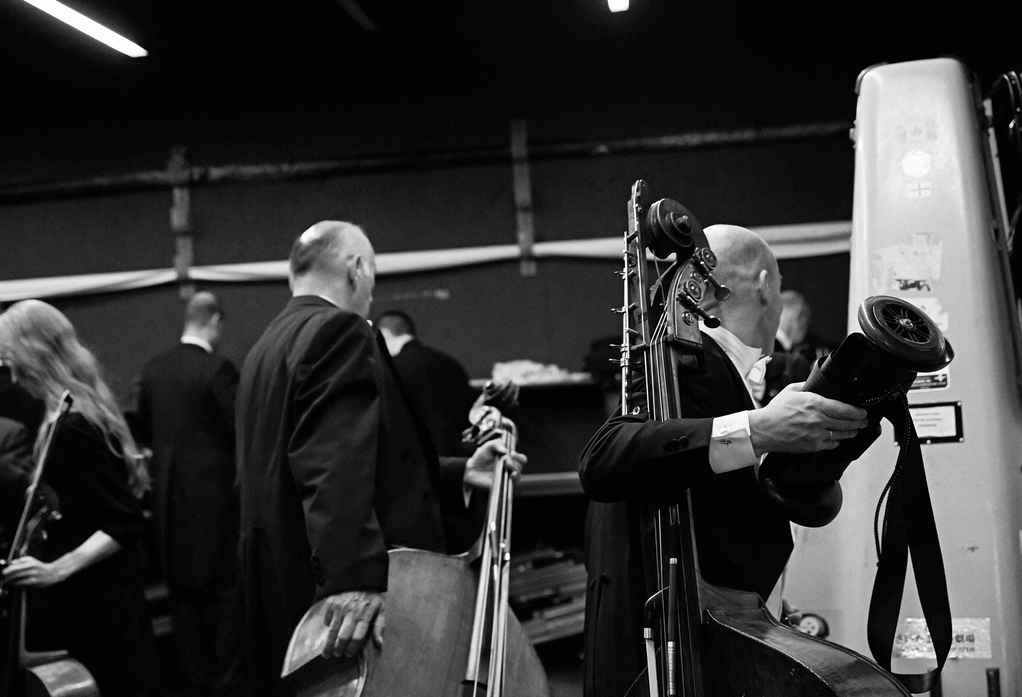 Sinfo_K9A1172 copy.jpg