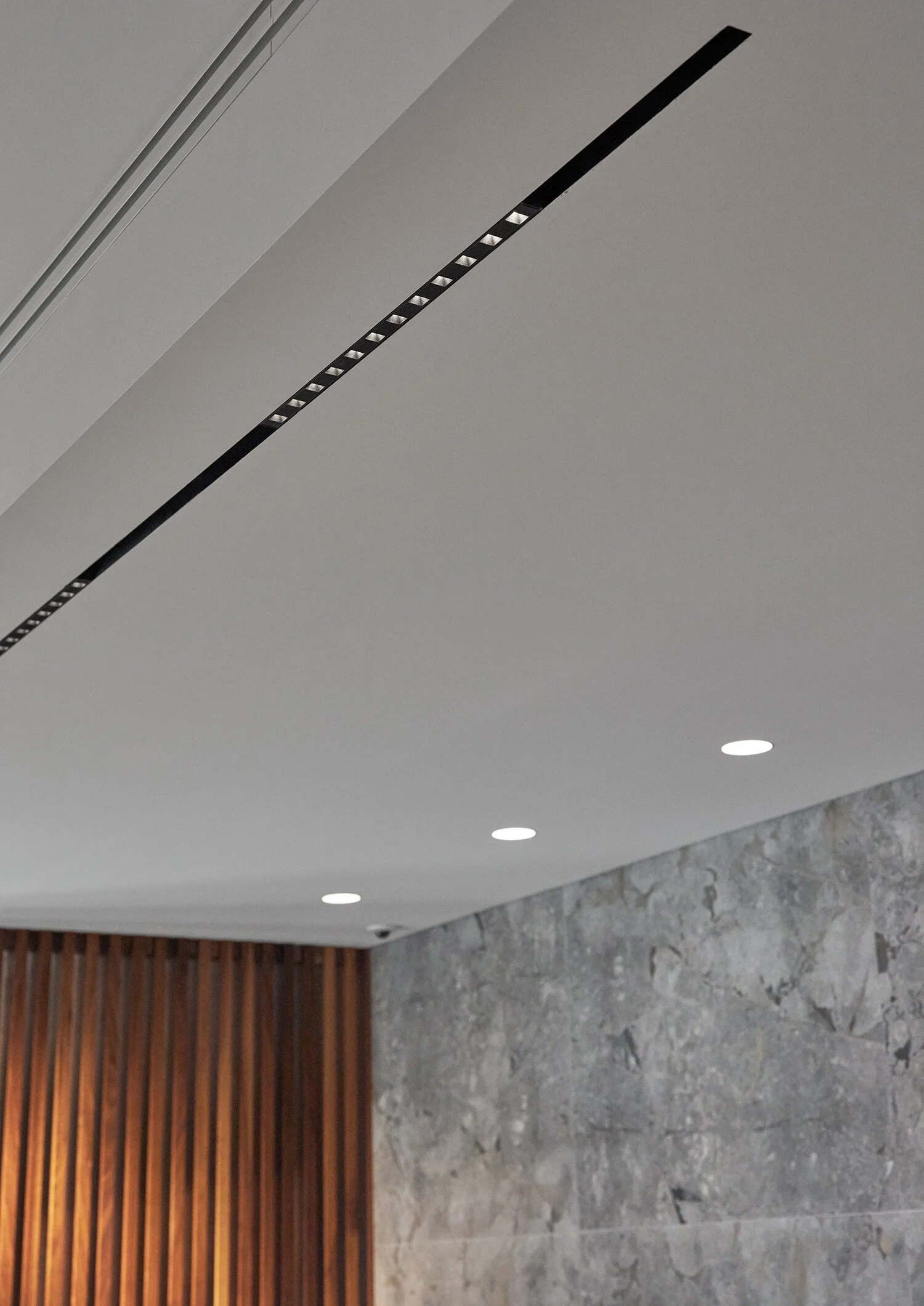 Lumex_69A0716.jpg