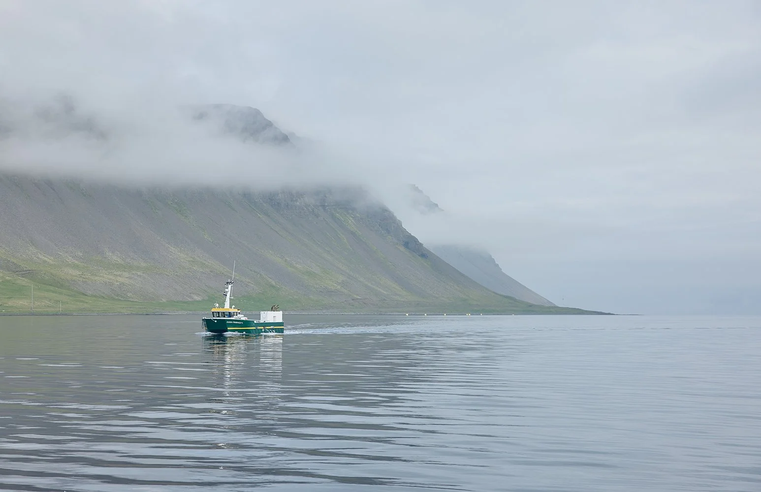 Arnarlax_V4A0118 1.jpg