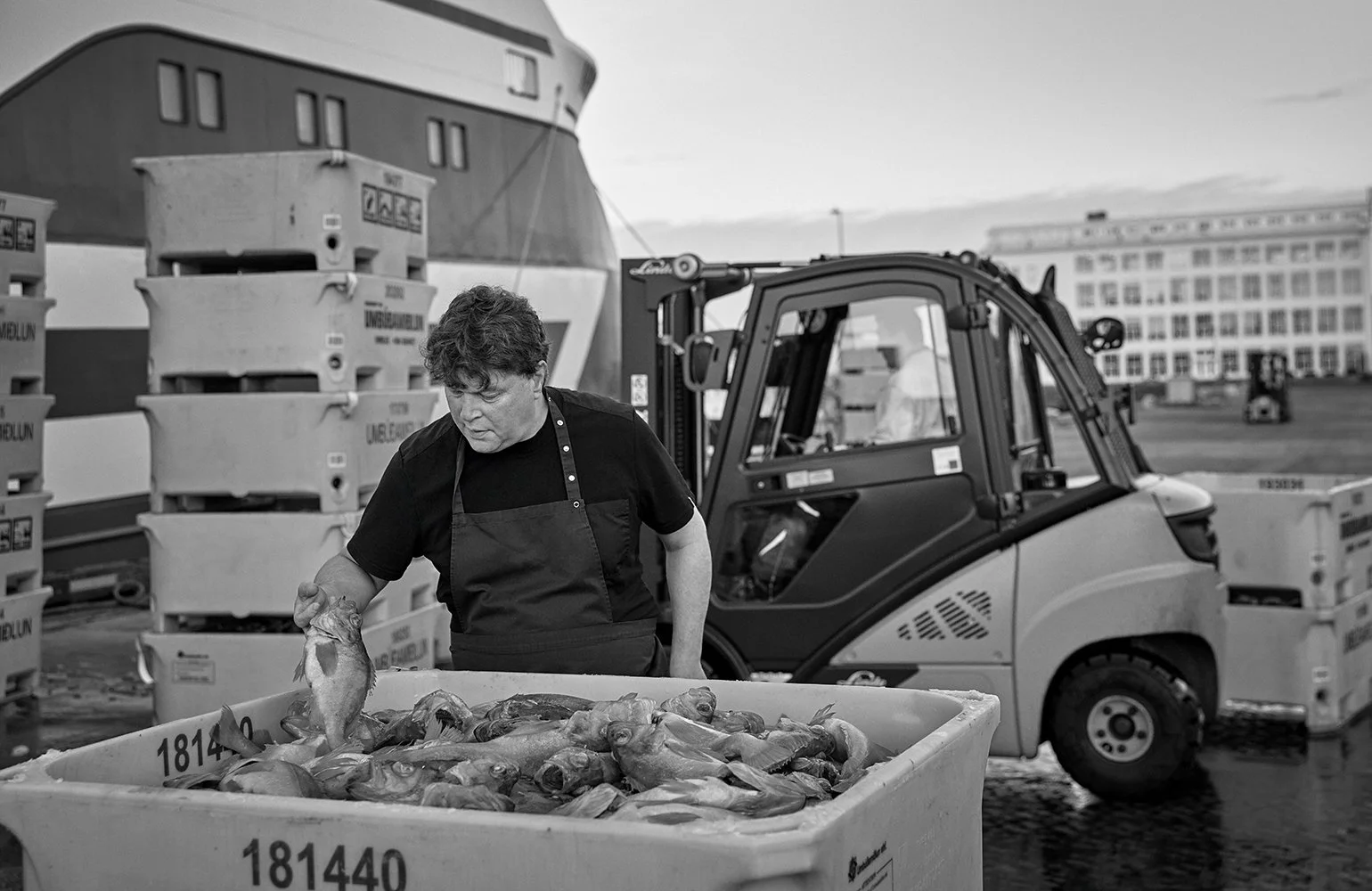 LaPrimavera_7V4A3110 1.jpg